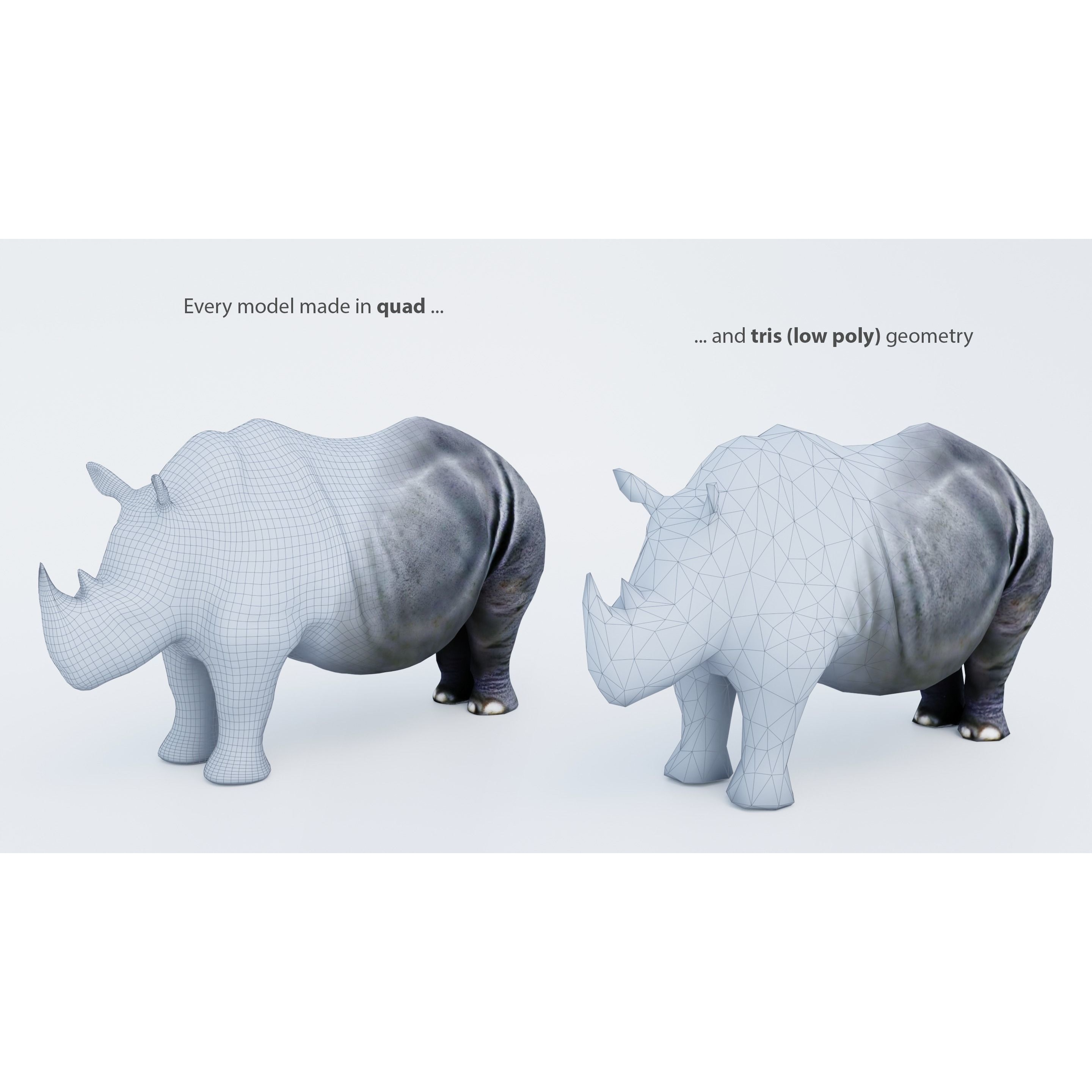 102 Animals Ultimate Collection 3D model 2