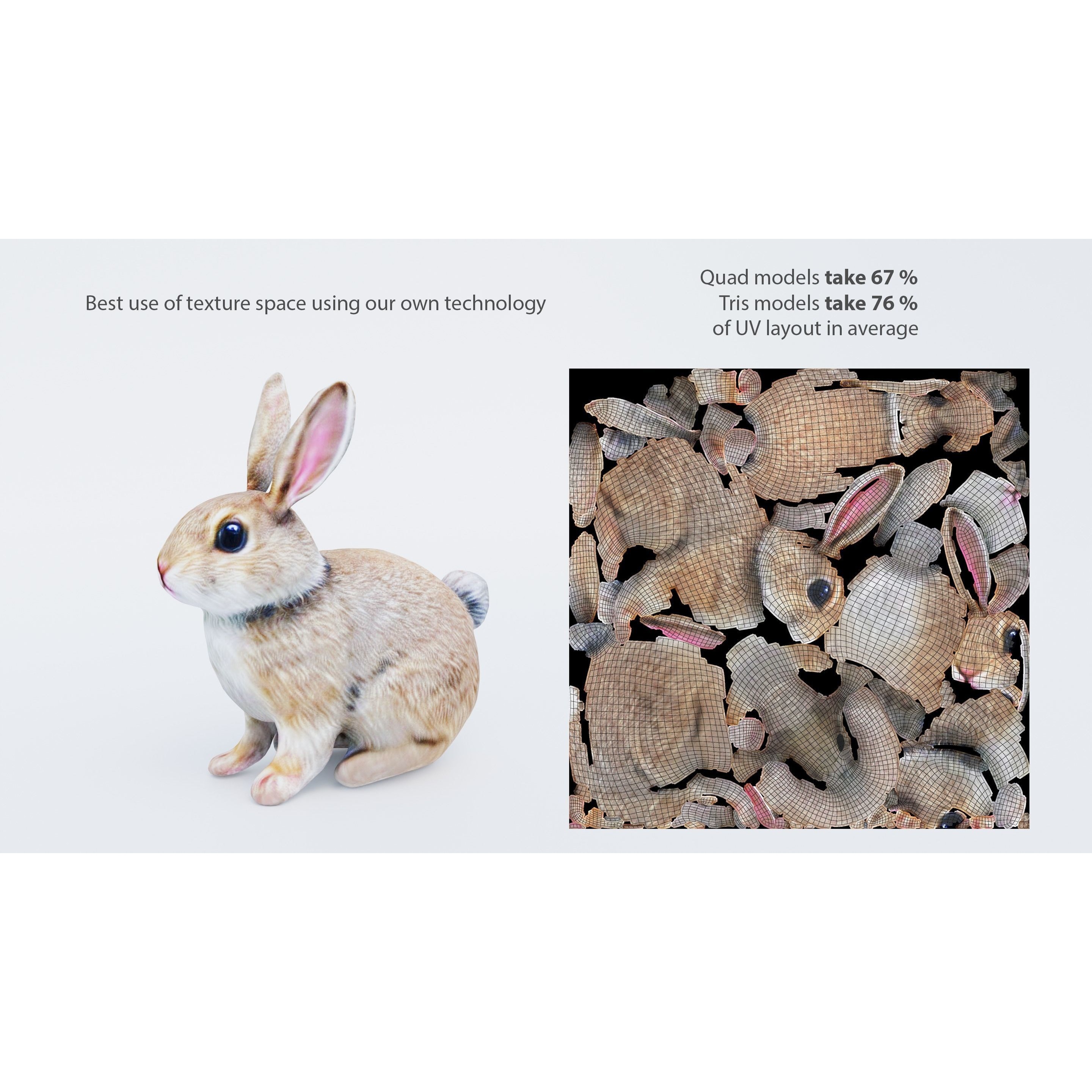 102 Animals Ultimate Collection 3D model 4
