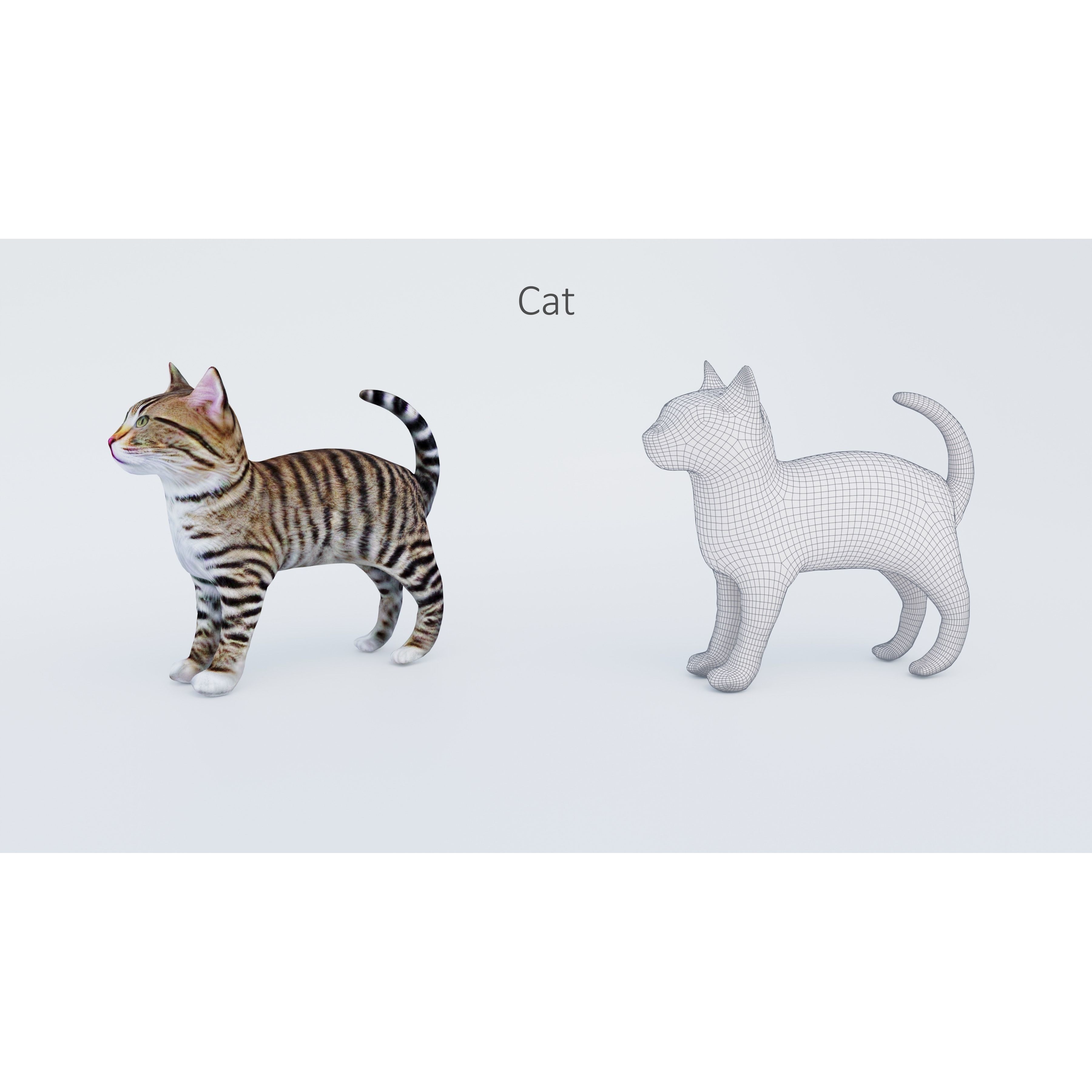 102 Animals Ultimate Collection 3D model 6