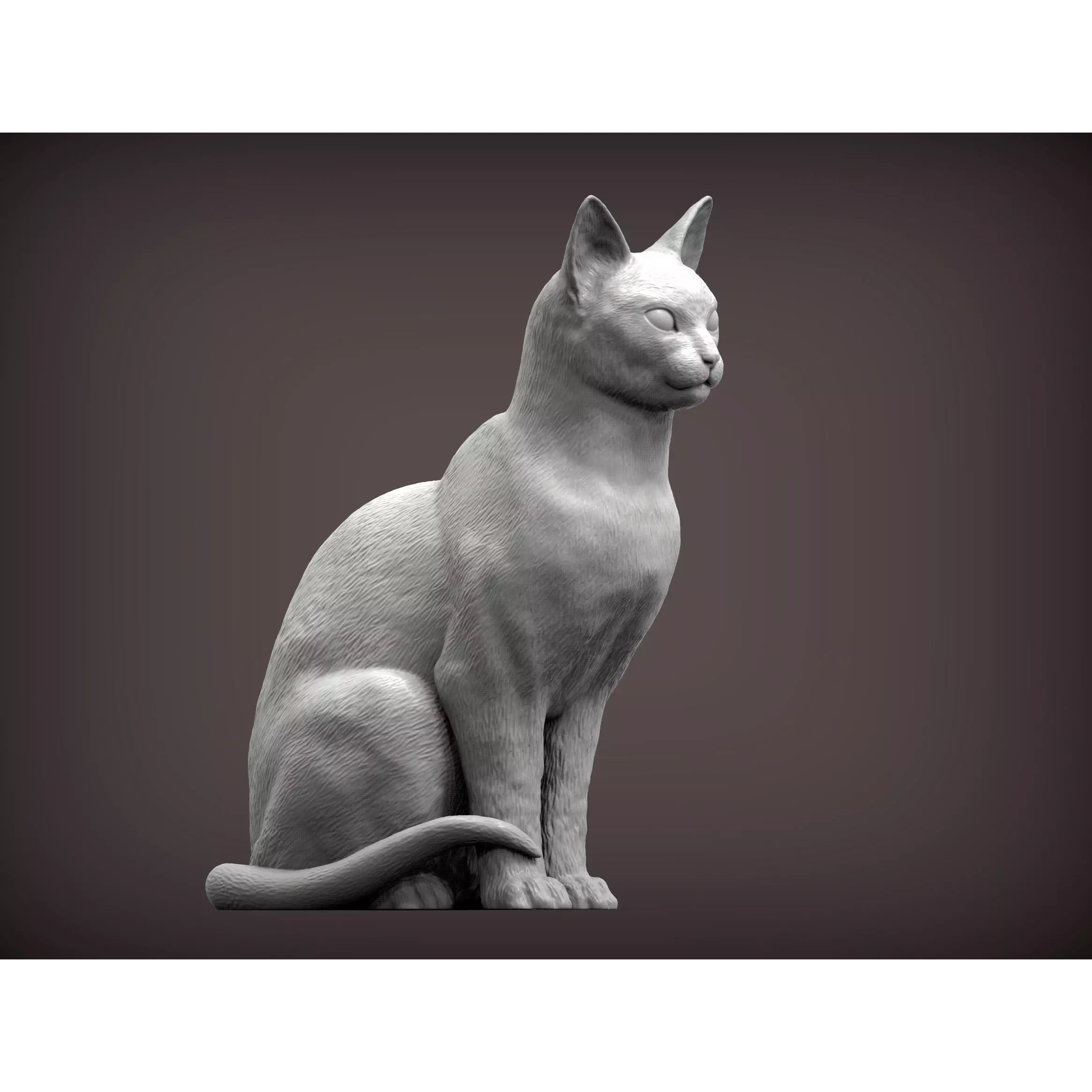 abyssinian cat 3D print model