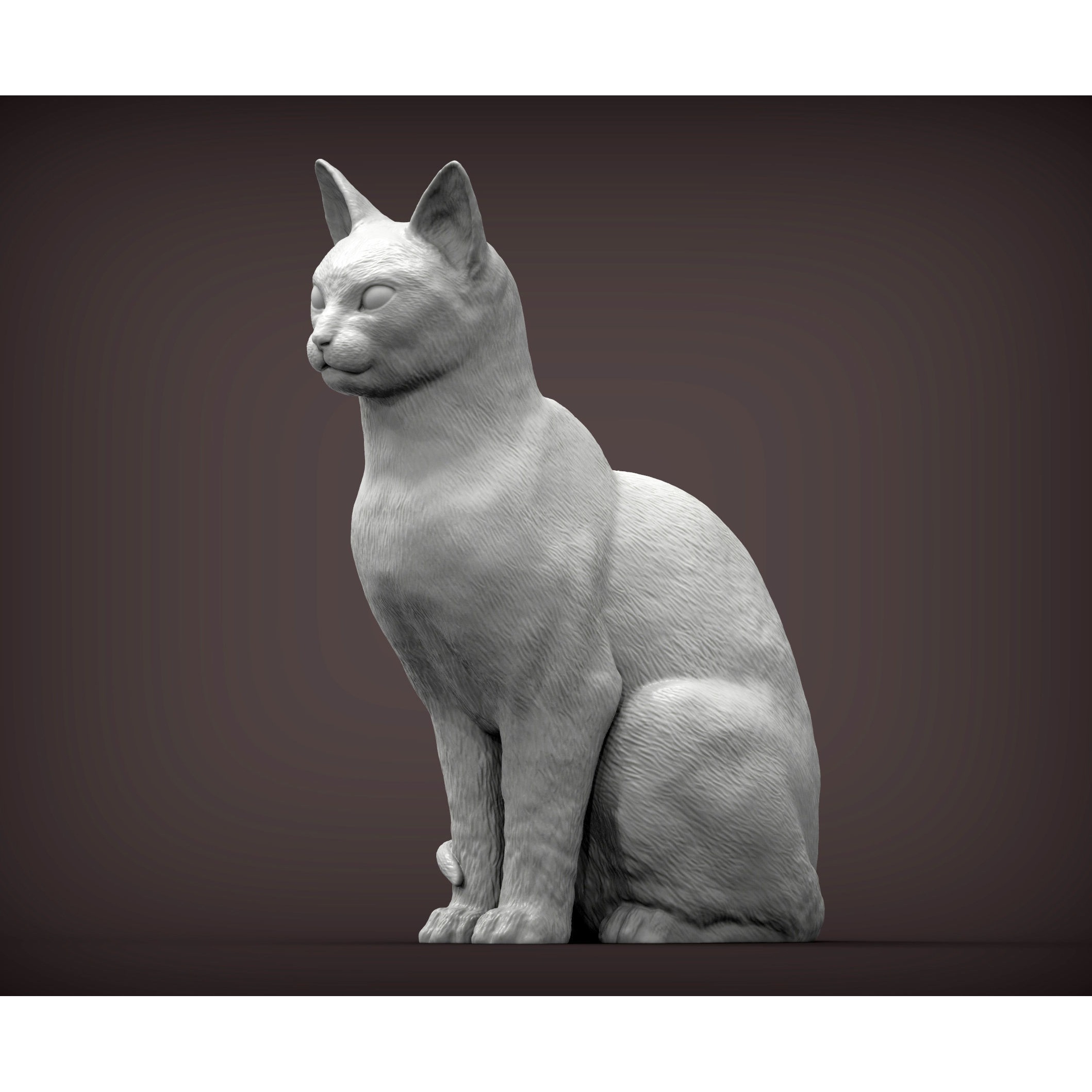 abyssinian cat 3D print model 2