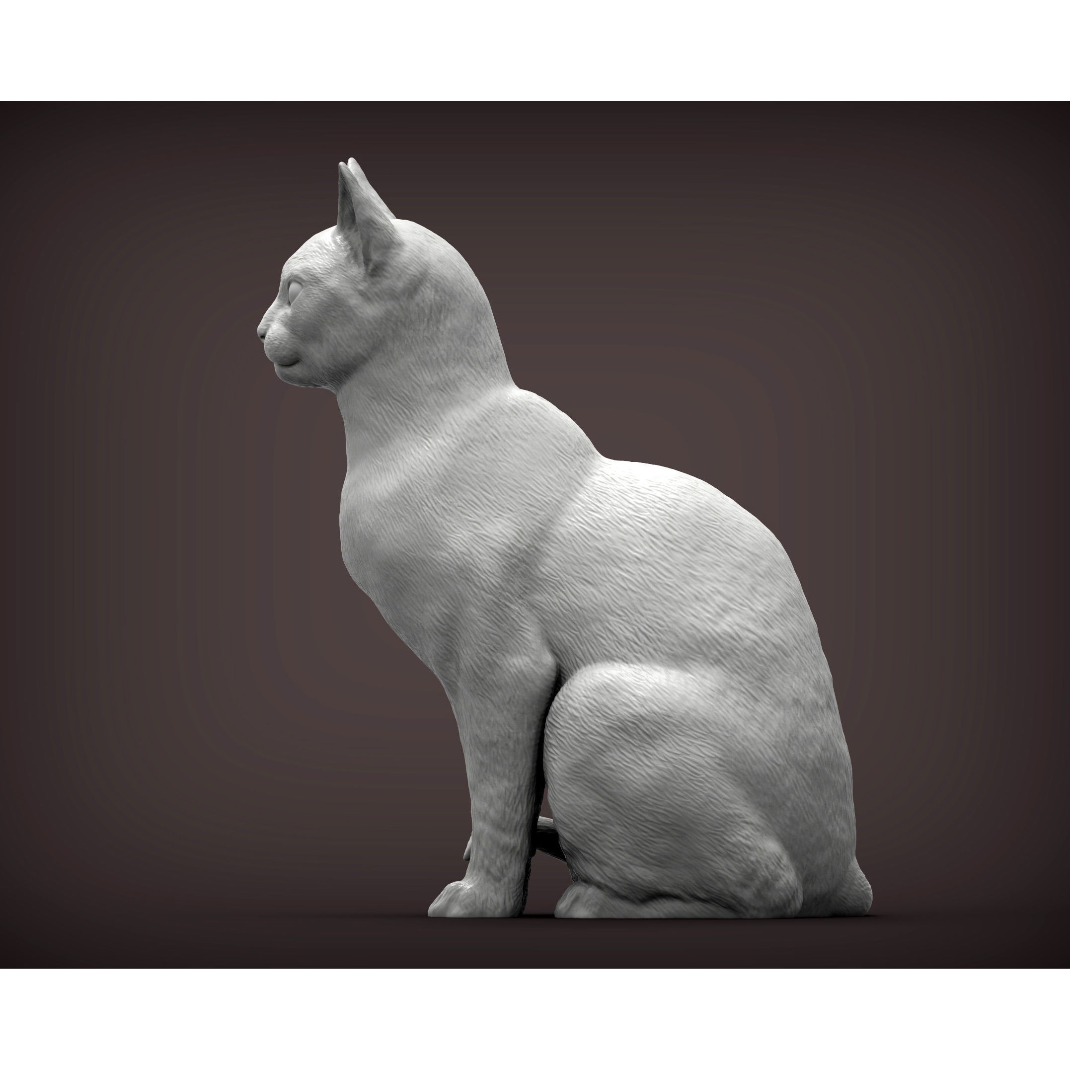 abyssinian cat 3D print model 3