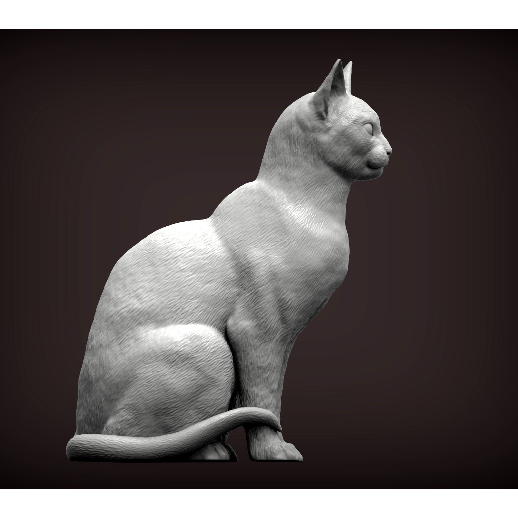 abyssinian cat 3D print model 4