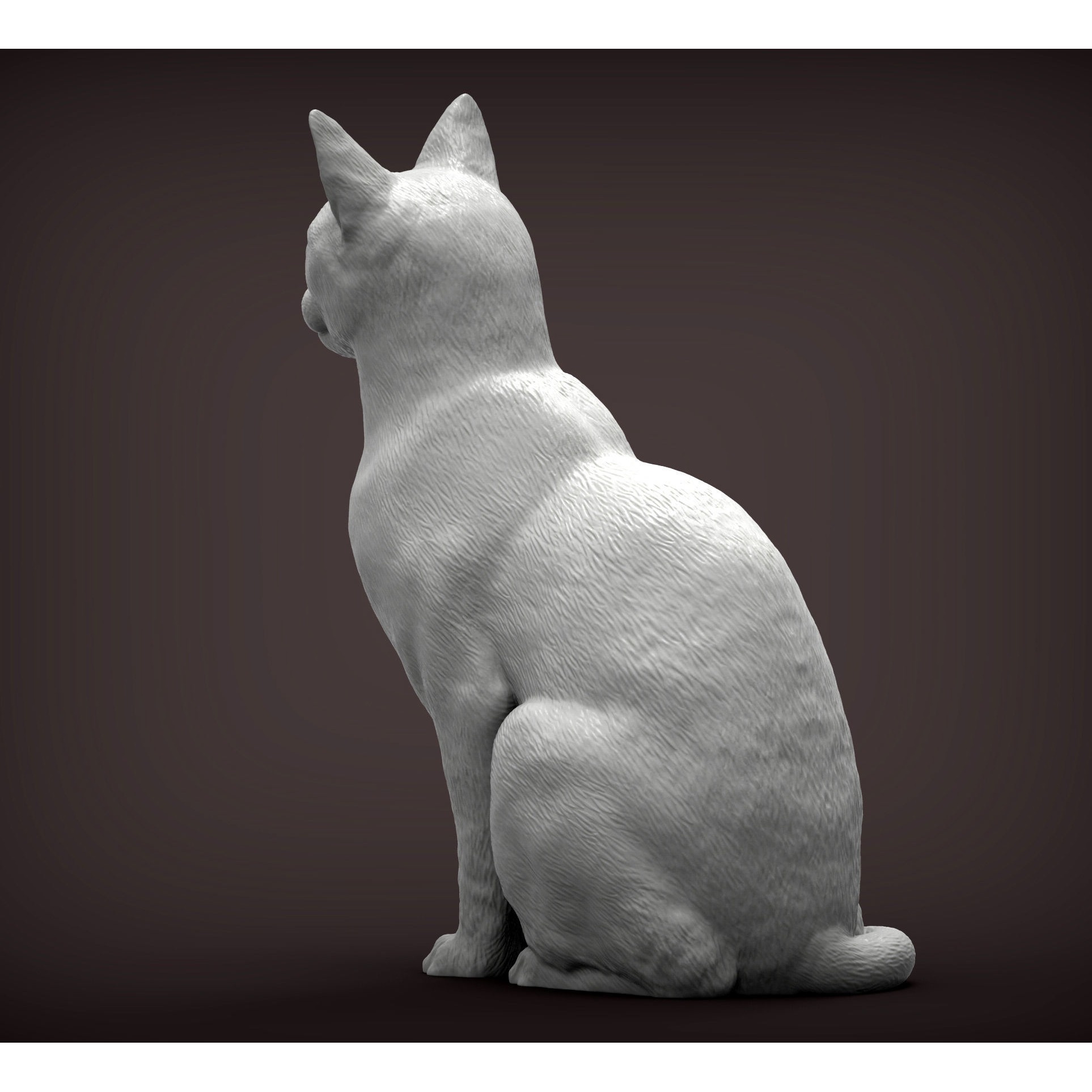 abyssinian cat 3D print model 5