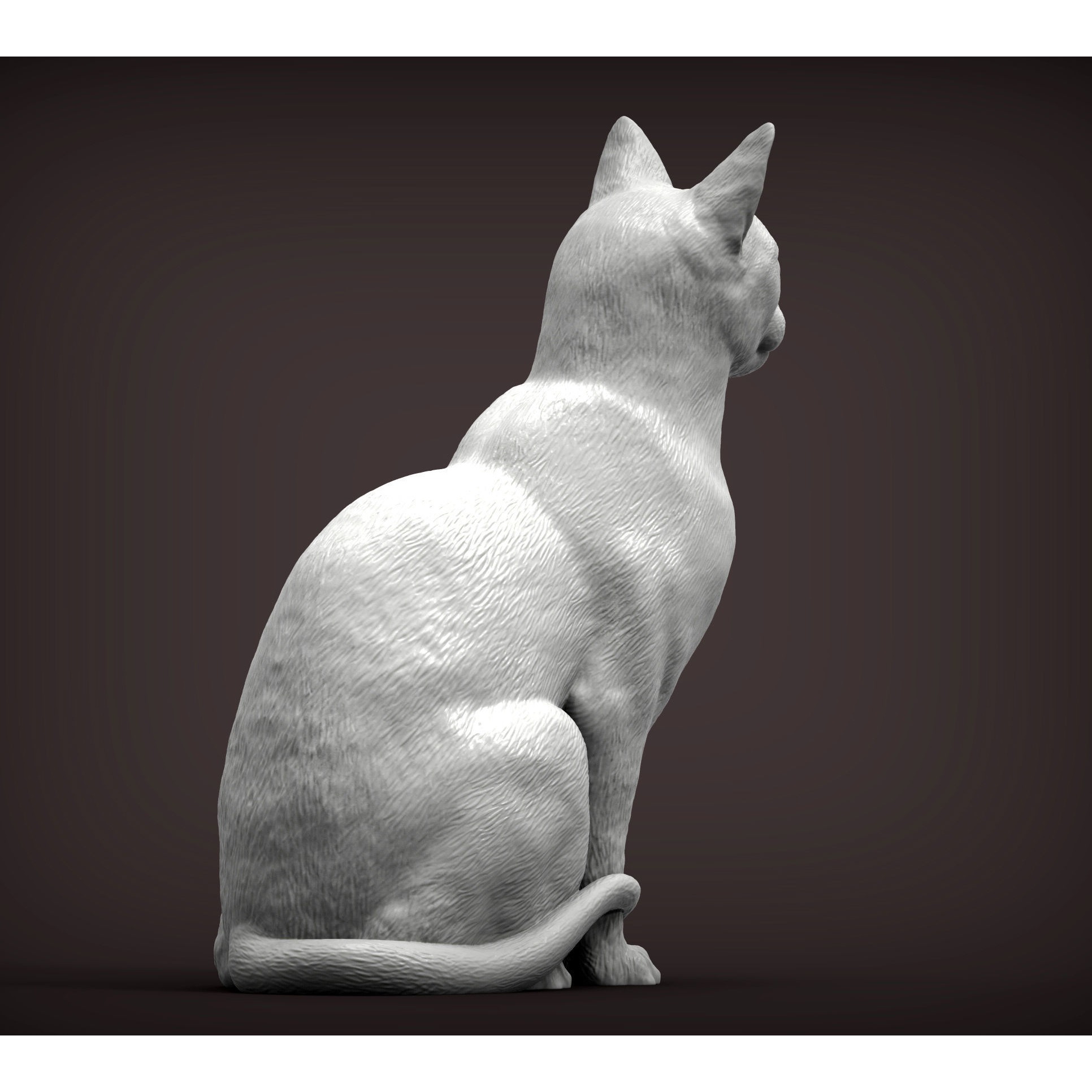 abyssinian cat 3D print model 6