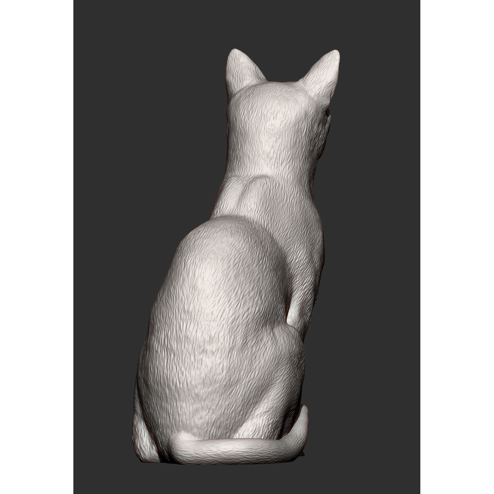 abyssinian cat 3D print model 7