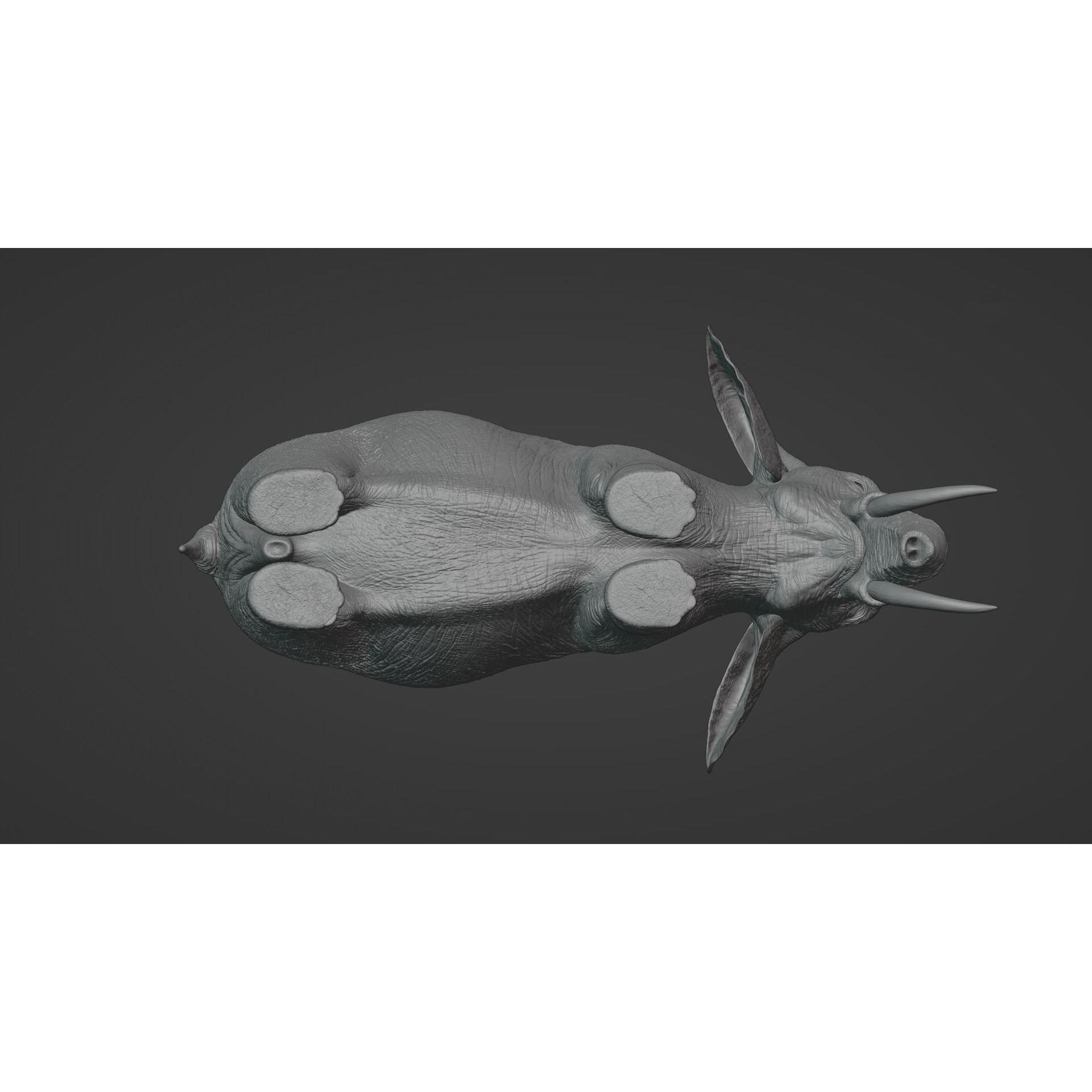 African Elephant Animated 3D model 8