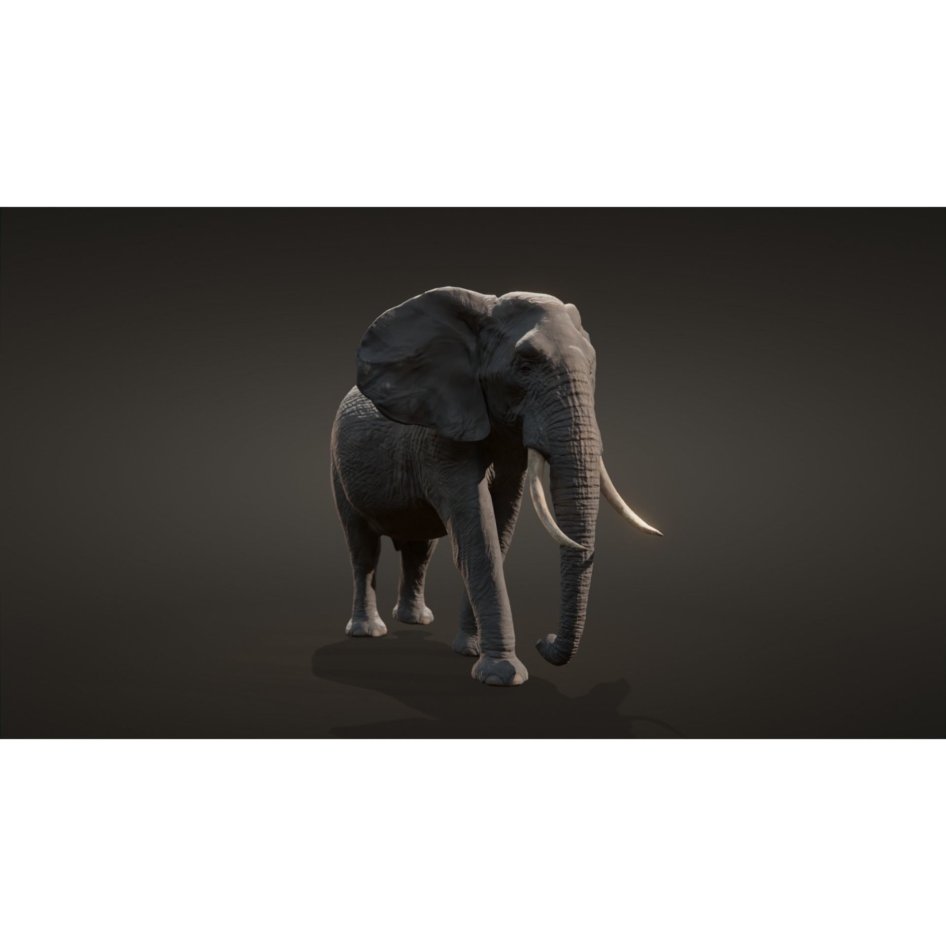 African elephant Low-poly 3D model 3