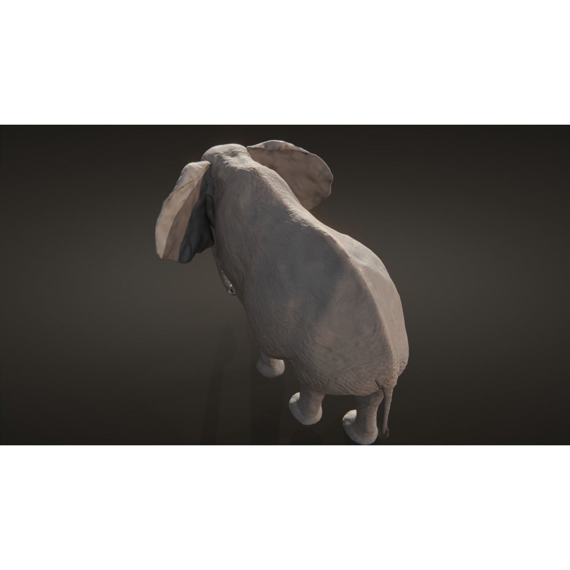 African elephant Low-poly 3D model 6