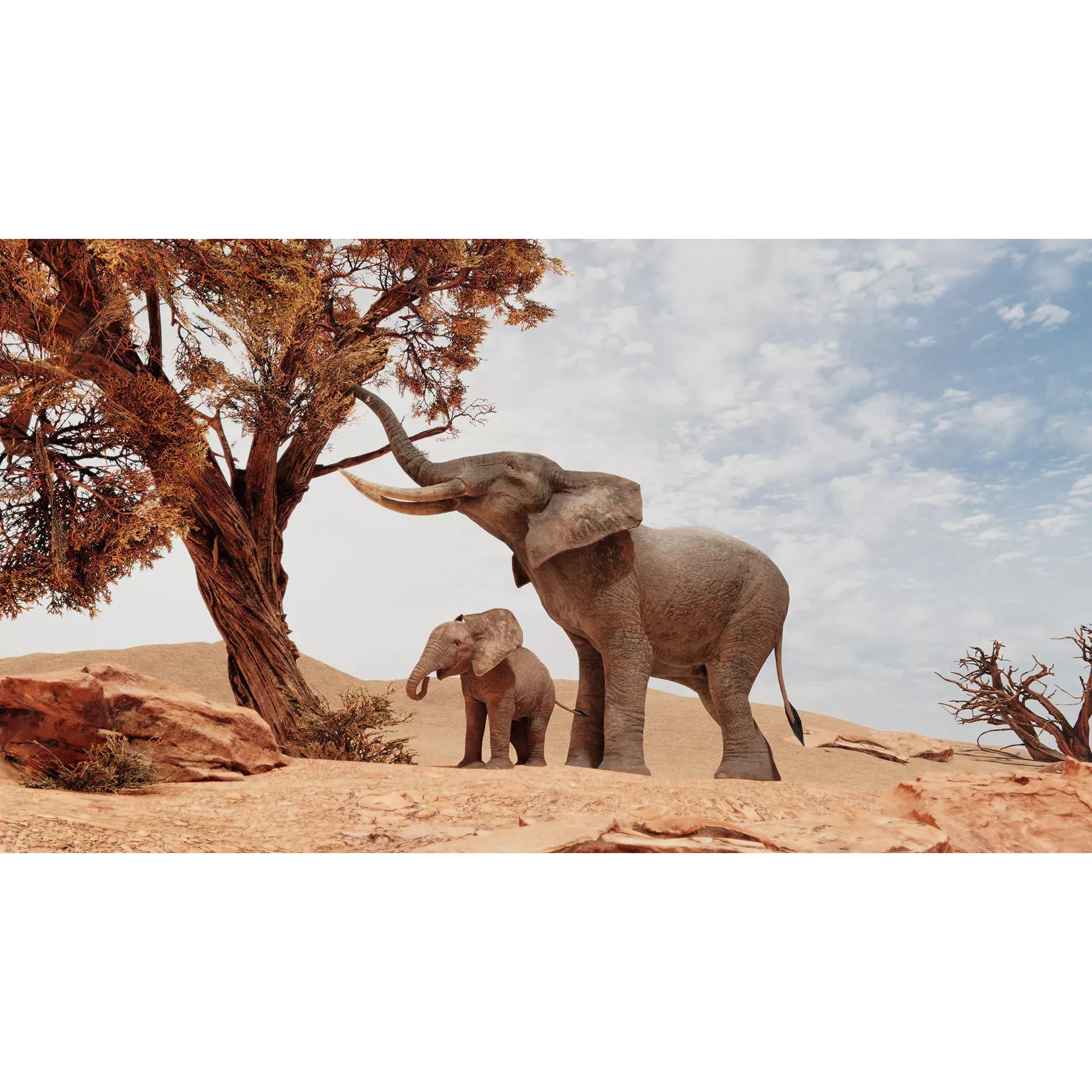 African Elephants Low-poly 3D model