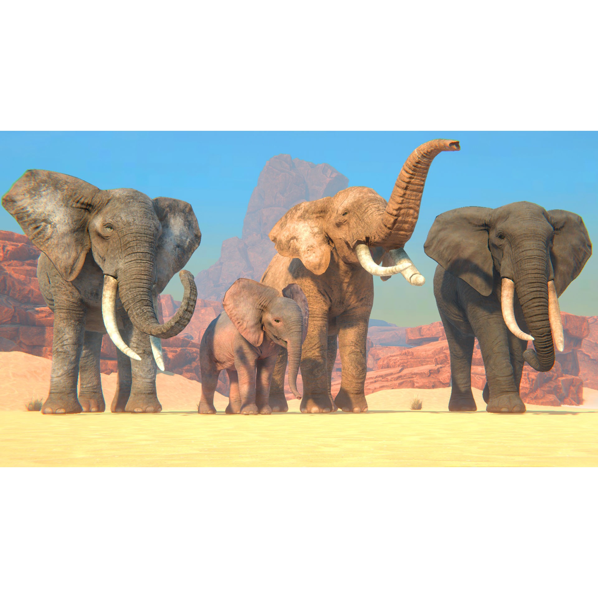 African Elephants Low-poly 3D model 3