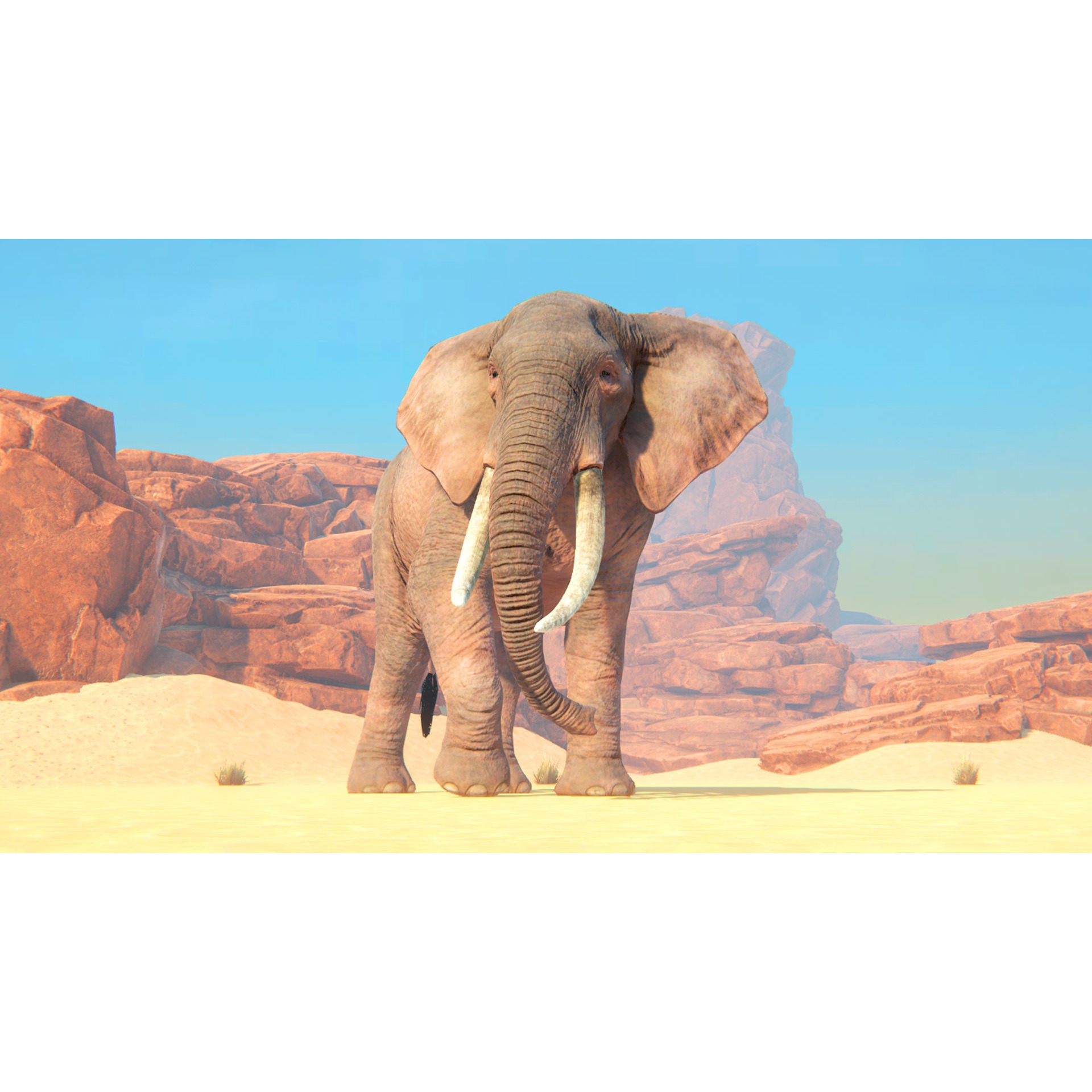 African Elephants Low-poly 3D model 4