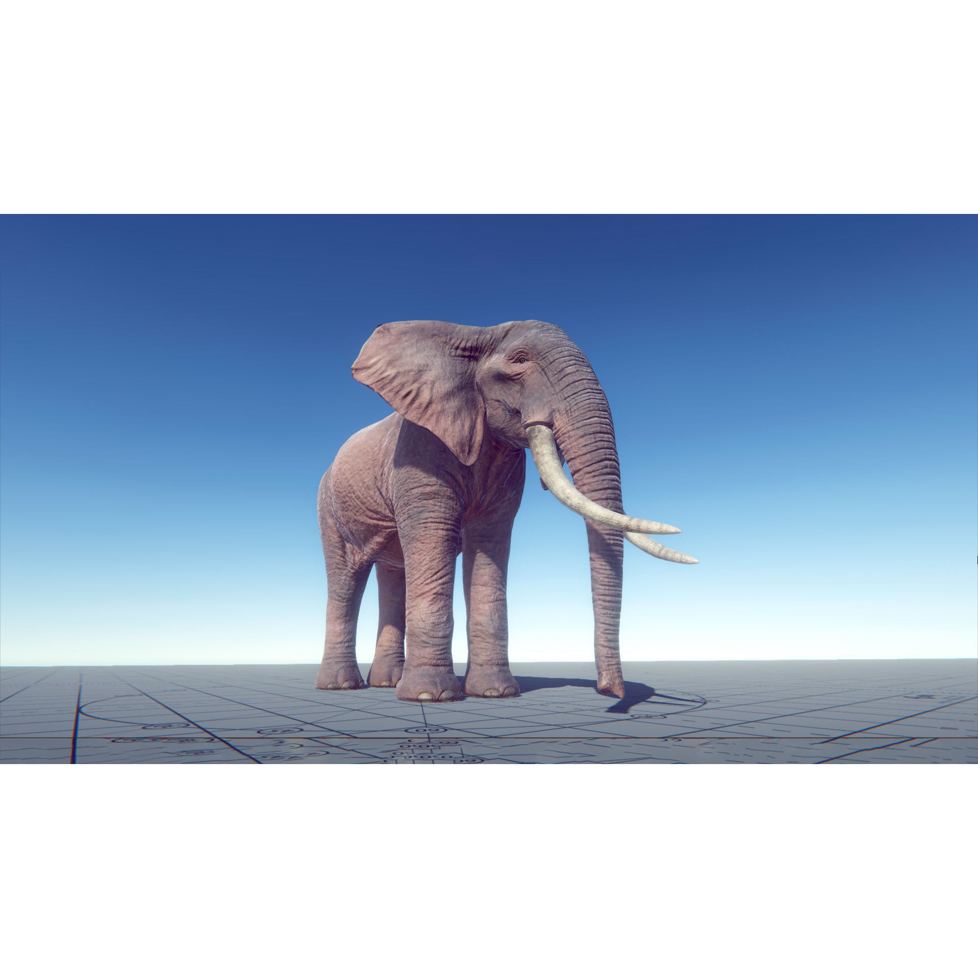 African Elephants Low-poly 3D model 5