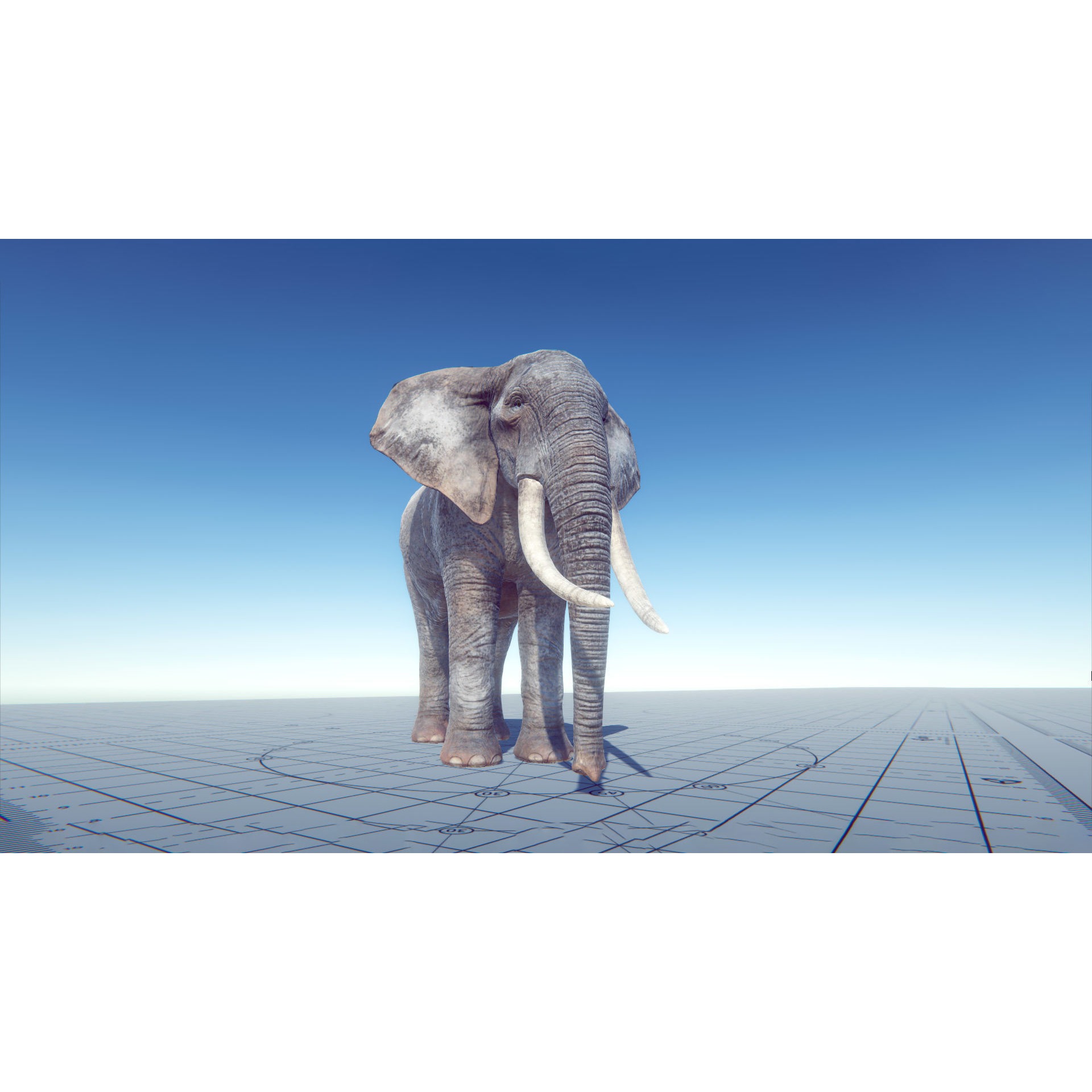 African Elephants Low-poly 3D model 6