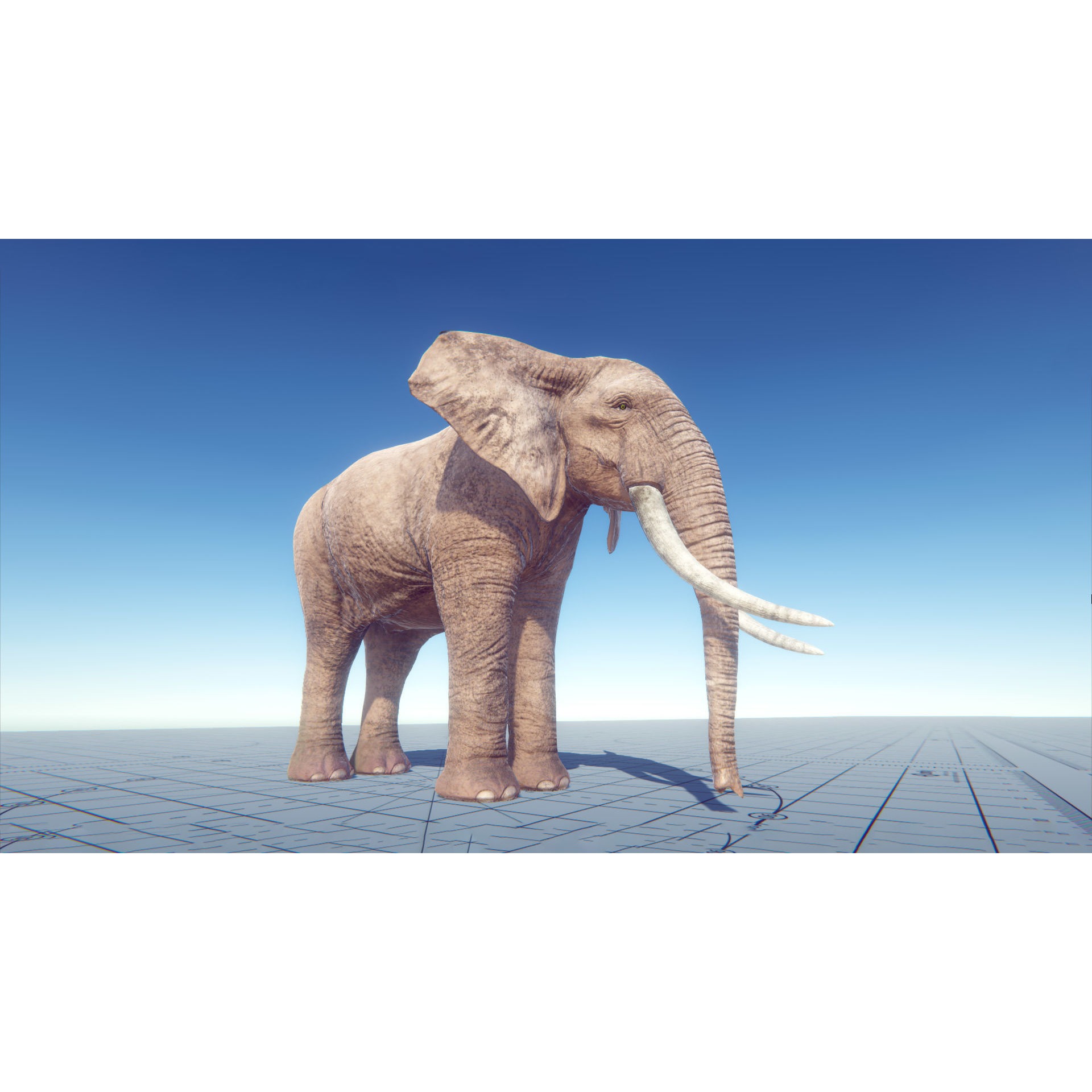 African Elephants Low-poly 3D model 7