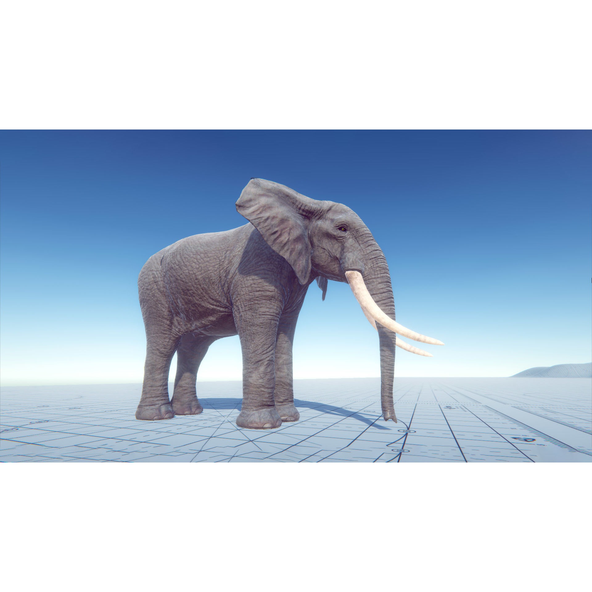 African Elephants Low-poly 3D model 8
