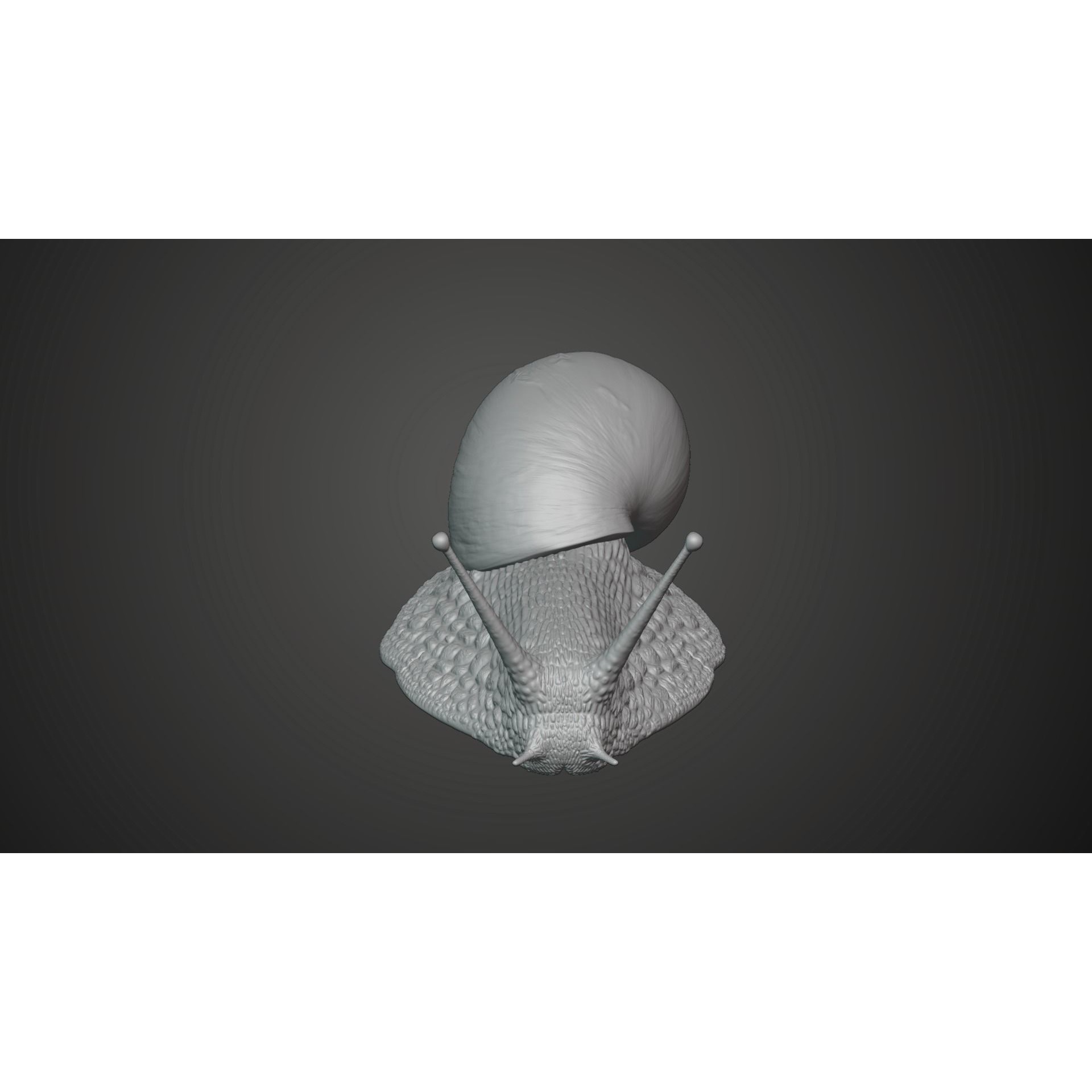 African Snail Animated VFX Grace 3D model 10
