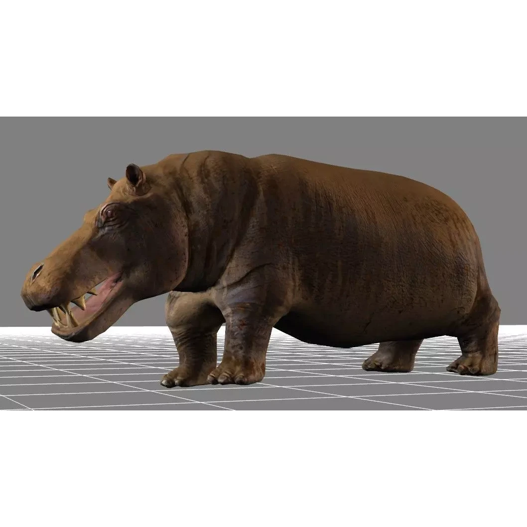 African Wildlife 3D Hippo Base Mesh Free low-poly 3D model