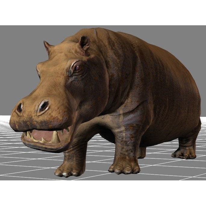 African Wildlife 3D Hippo Base Mesh Free low-poly 3D model 3