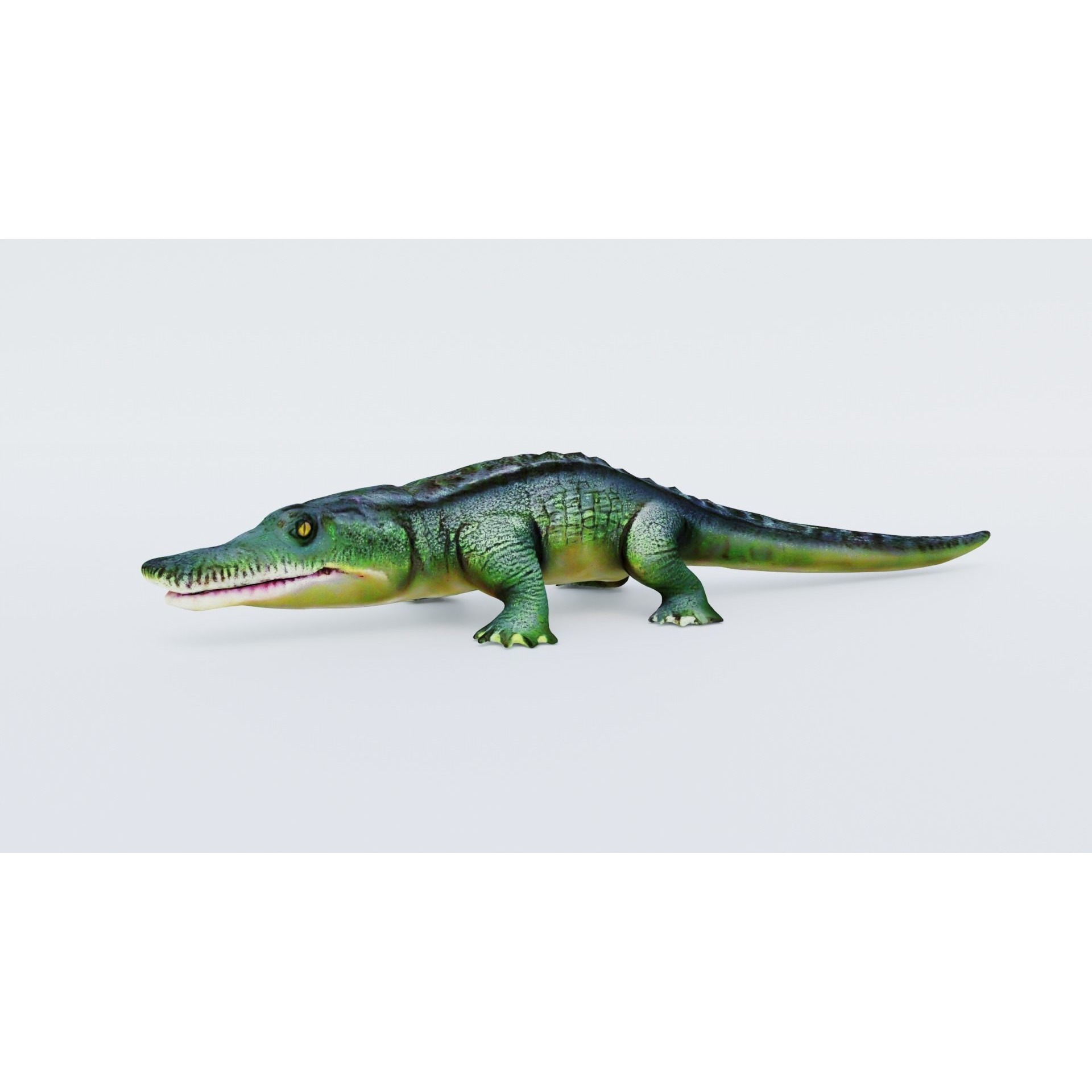 Alligator Free 3D model 2