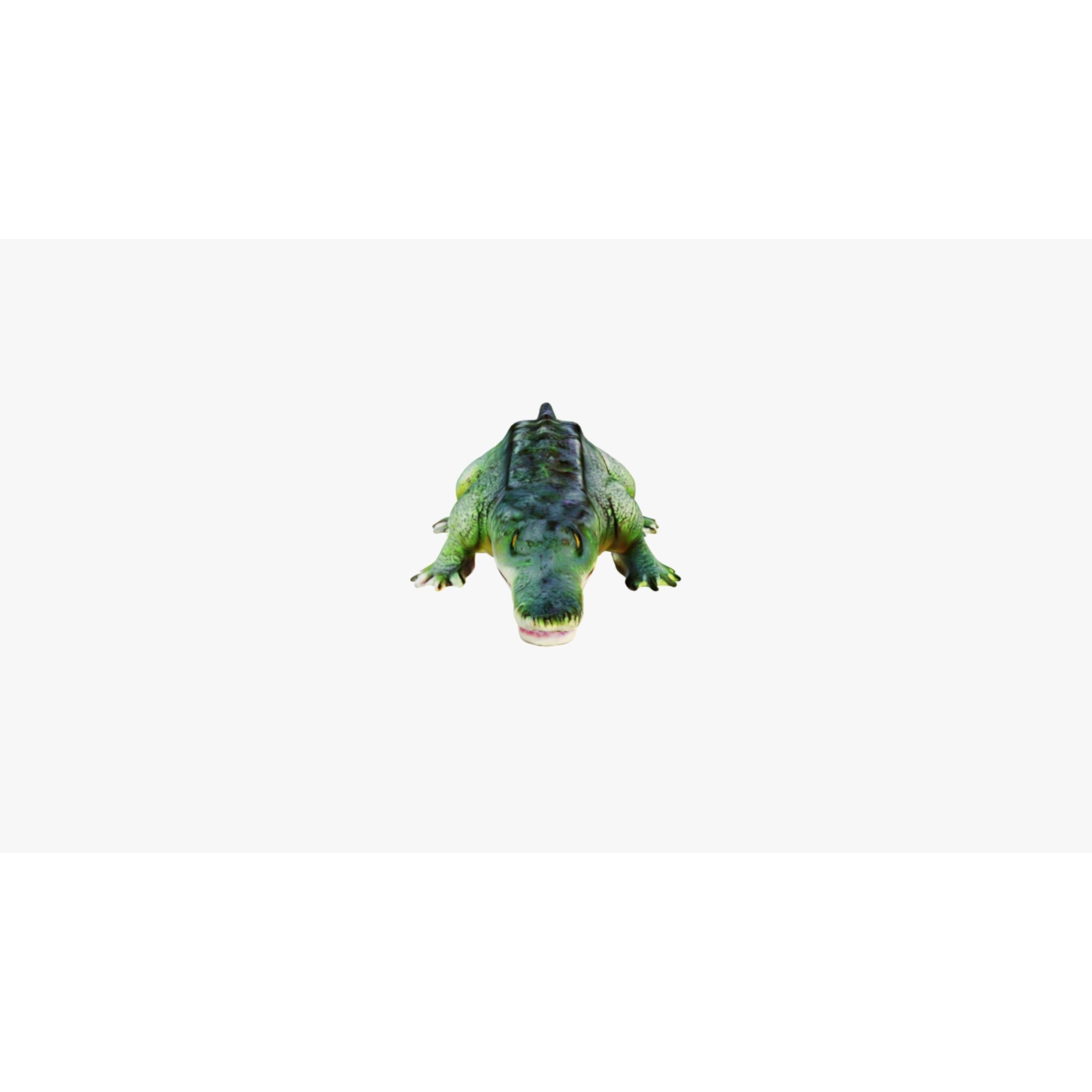 Alligator Free 3D model 3