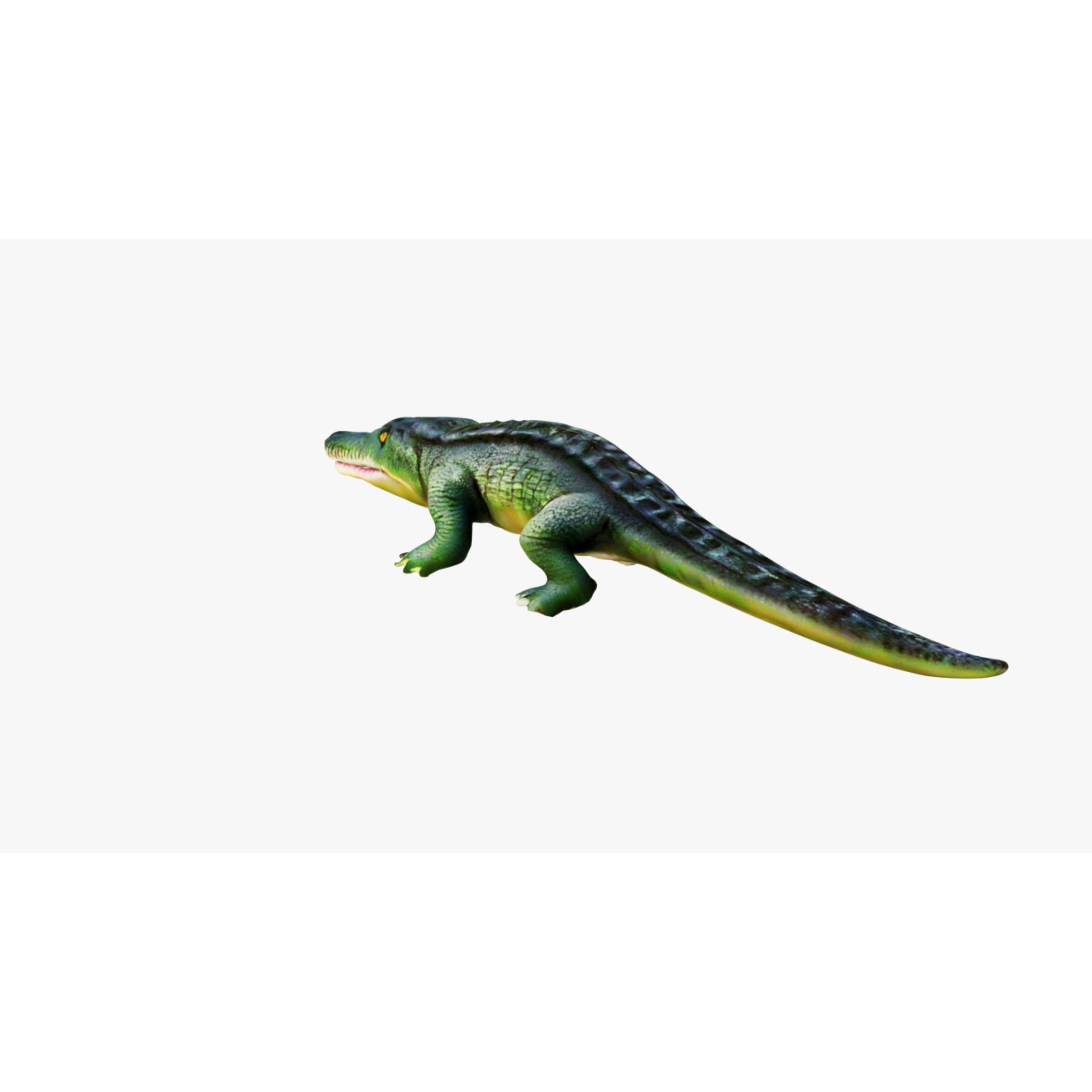 Alligator Free 3D model 4