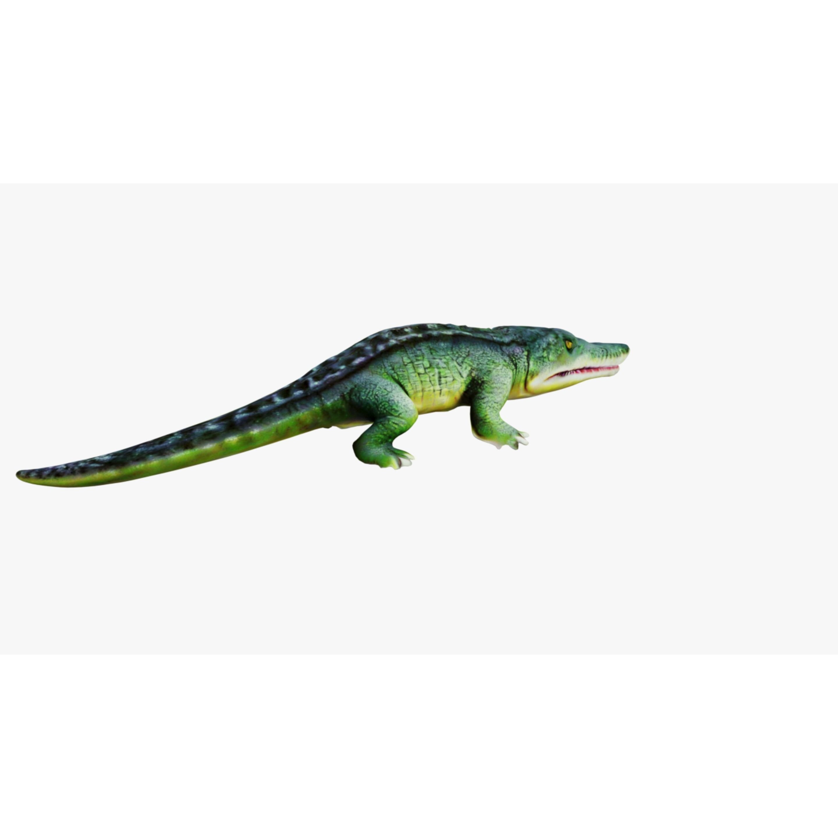 Alligator Free 3D model 5