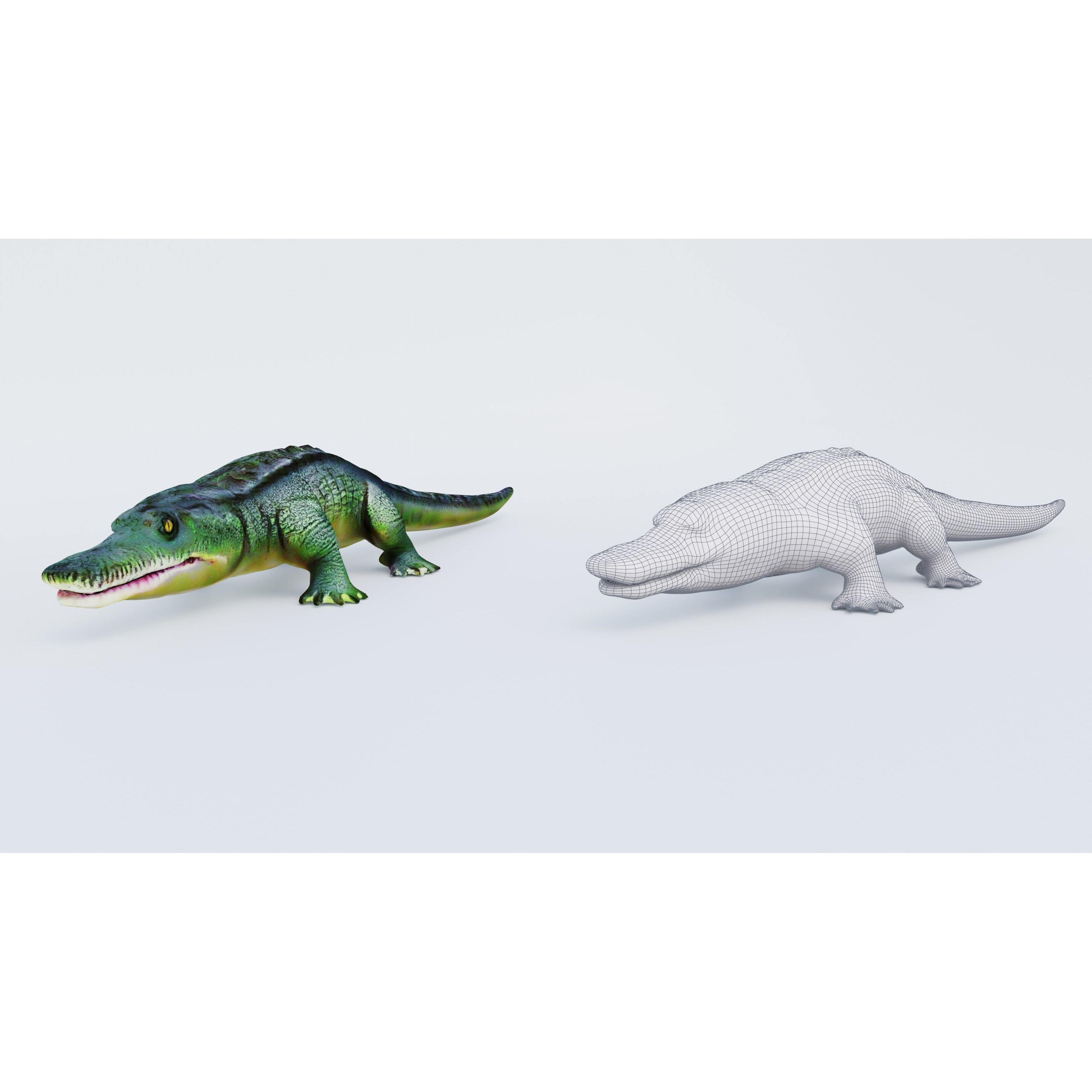 Alligator Free 3D model 6