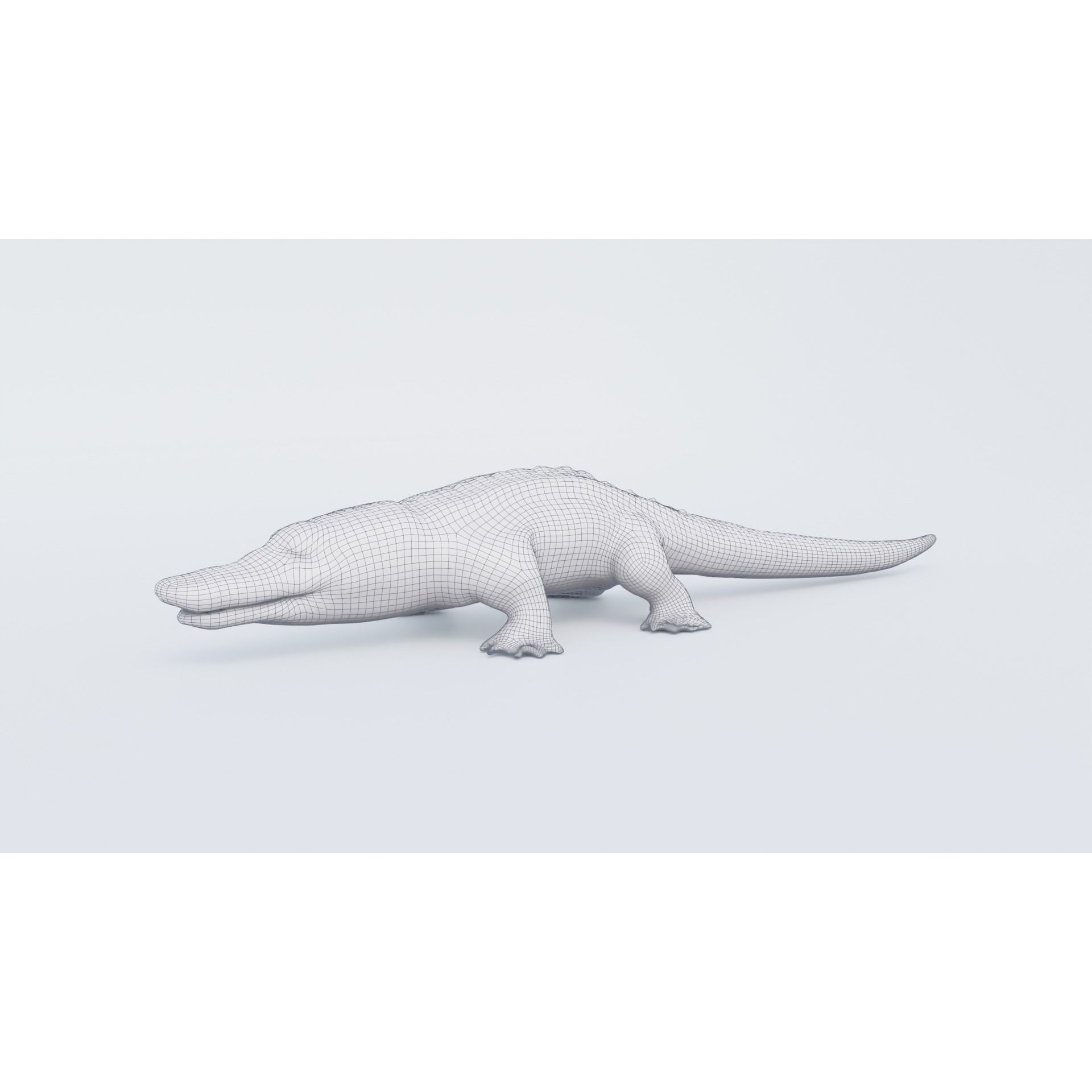 Alligator Free 3D model 7