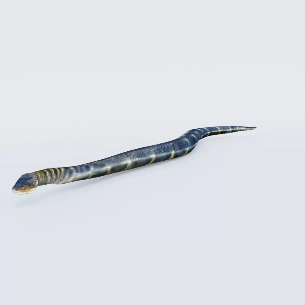 Anaconda Free 3D model