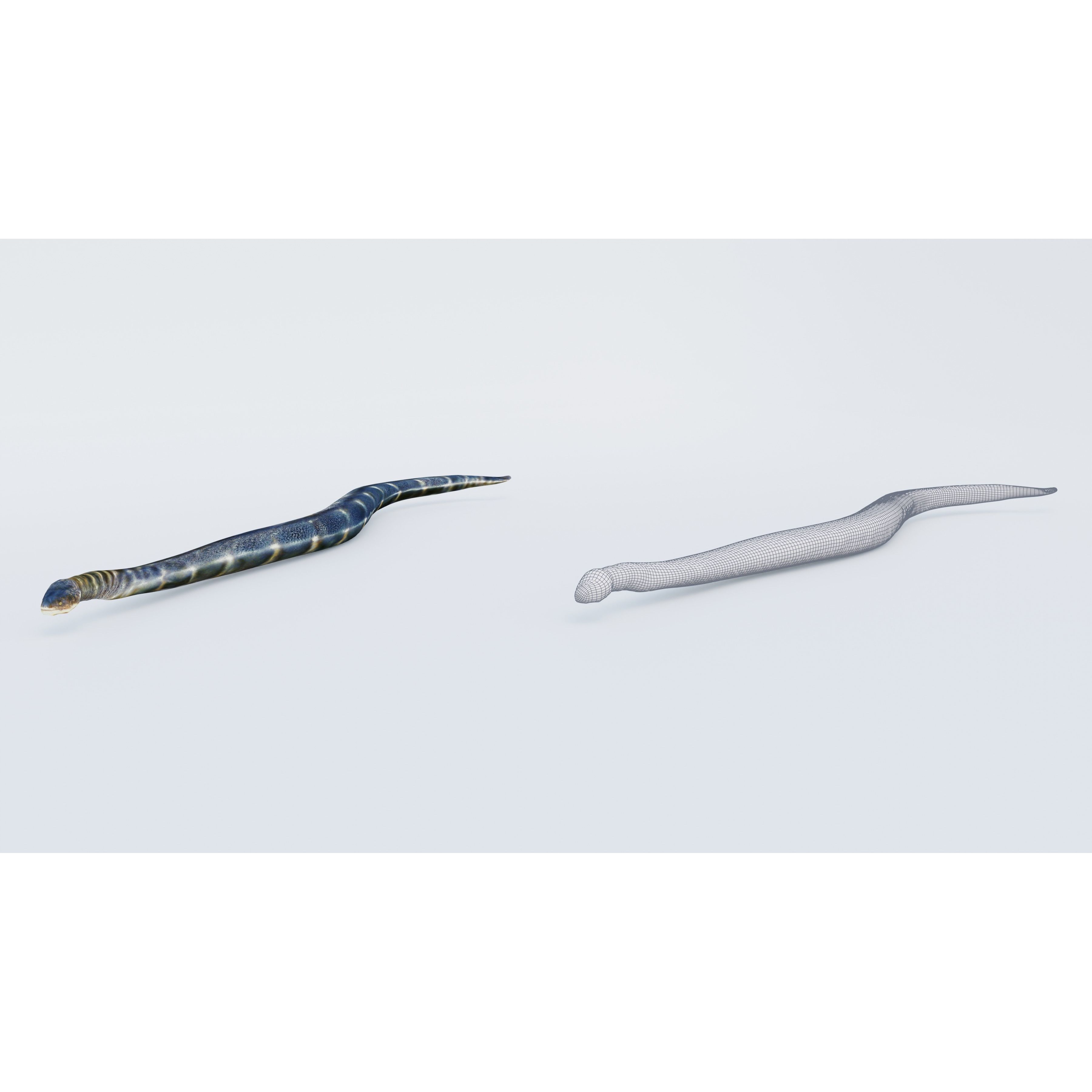 Anaconda Free 3D model 6