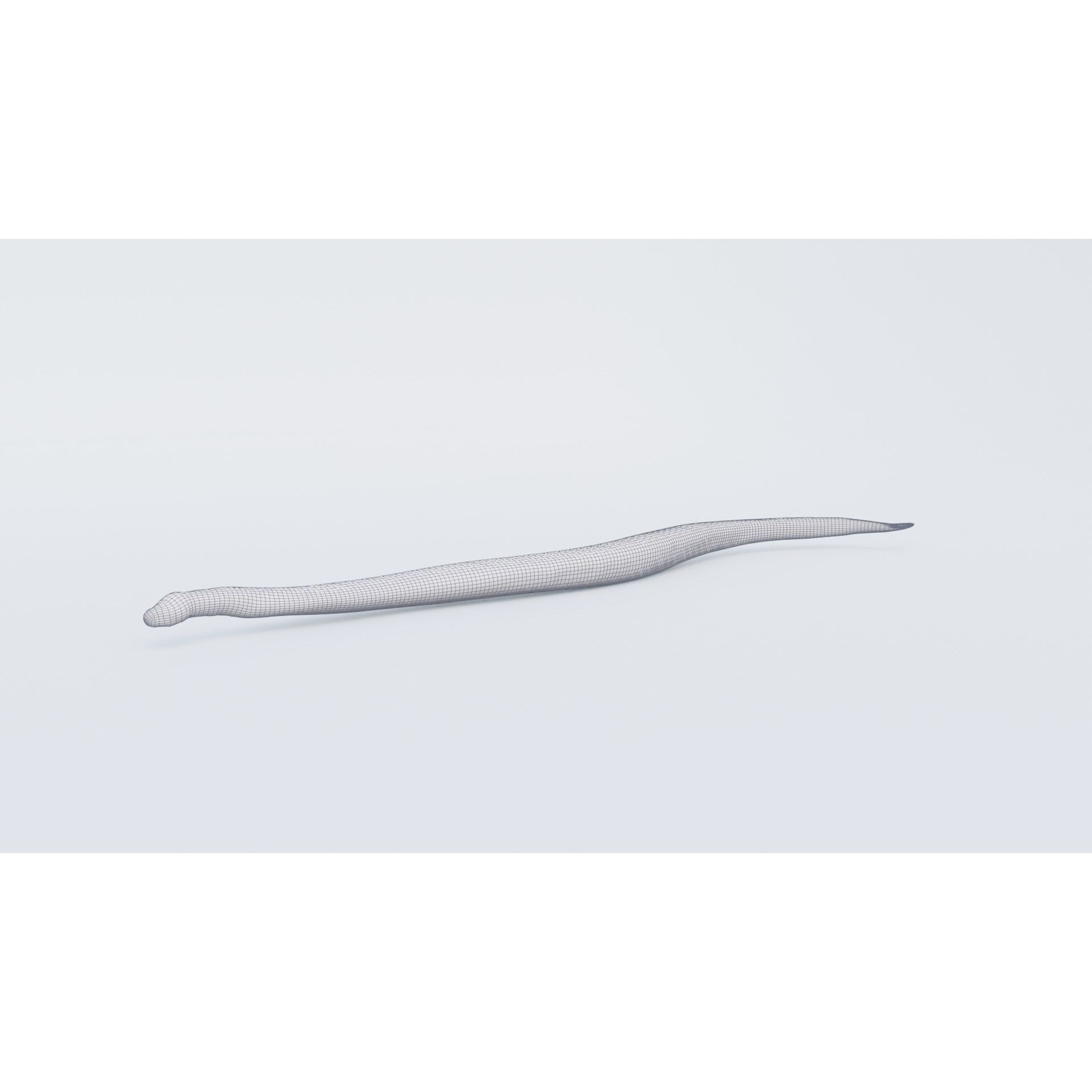 Anaconda Free 3D model 7