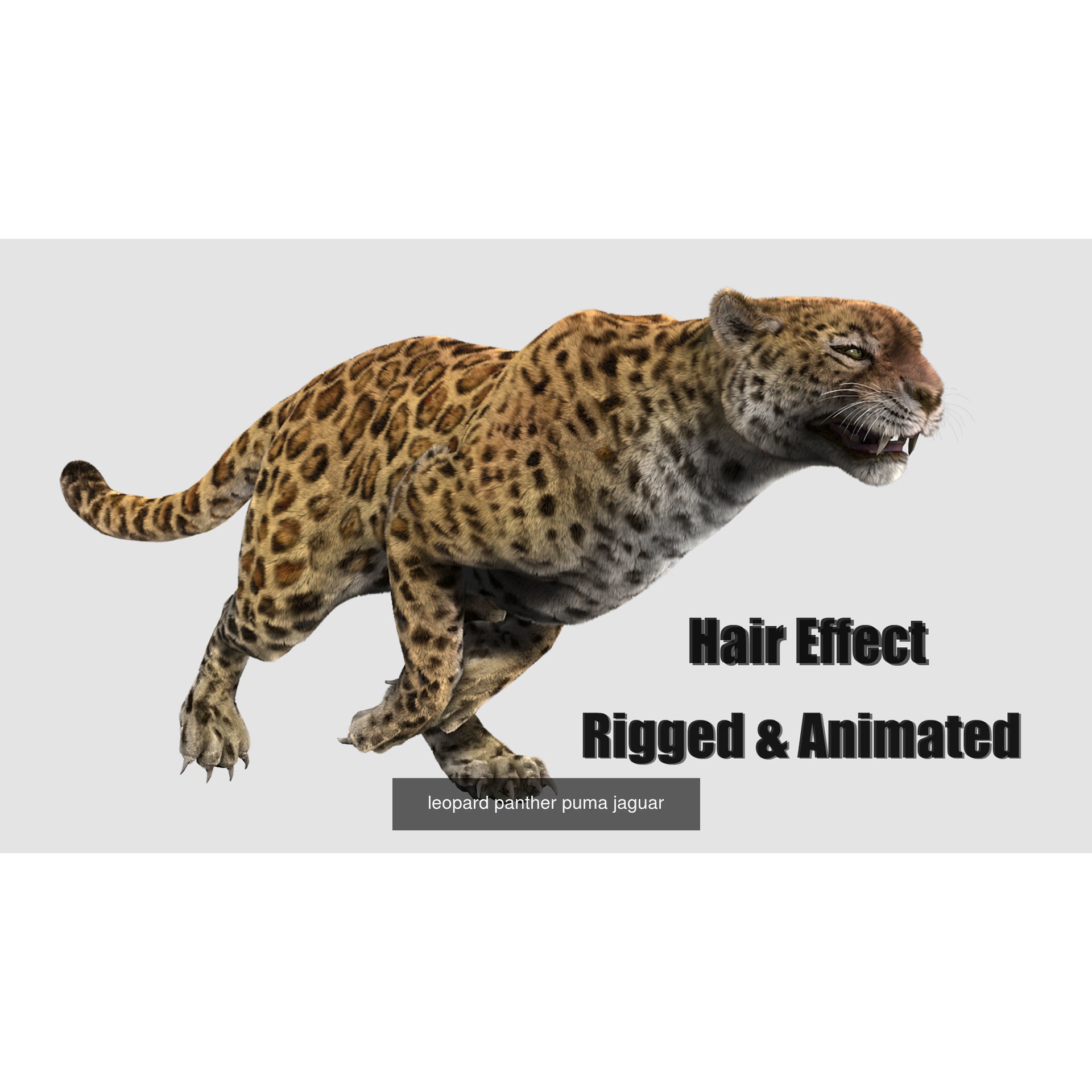 animal collection zoo animals pack 2