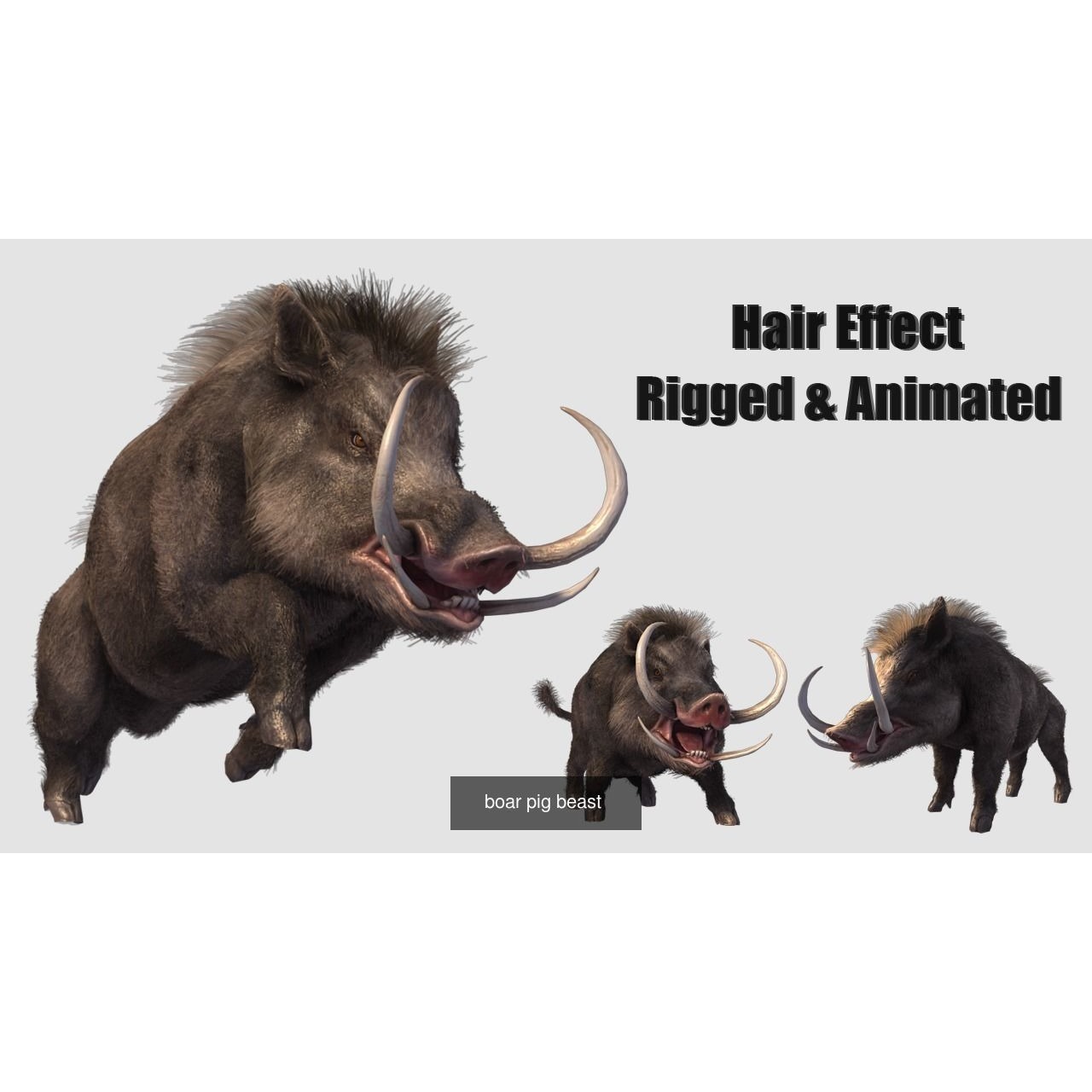 animal collection zoo animals pack 6