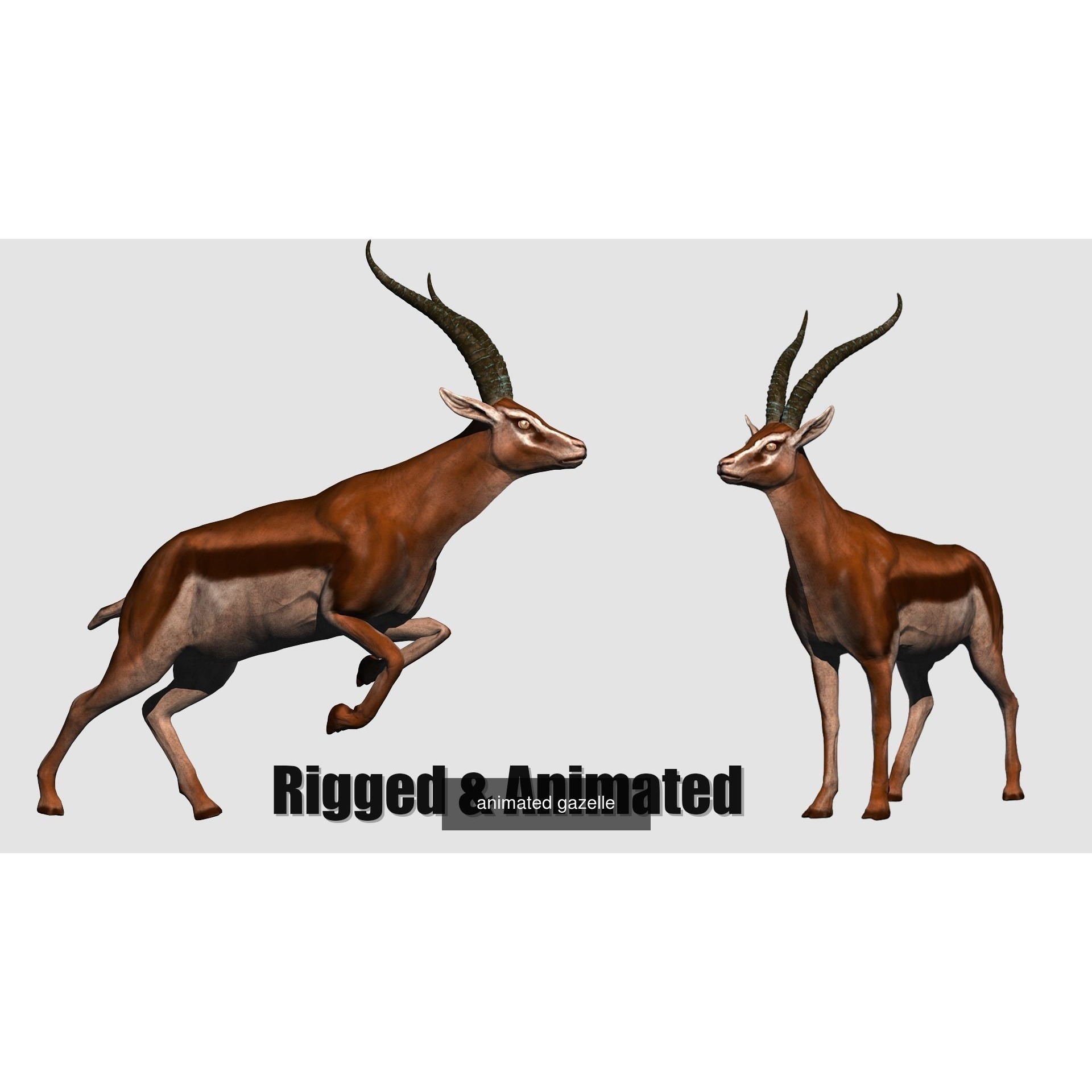 animal collection zoo animals pack 10