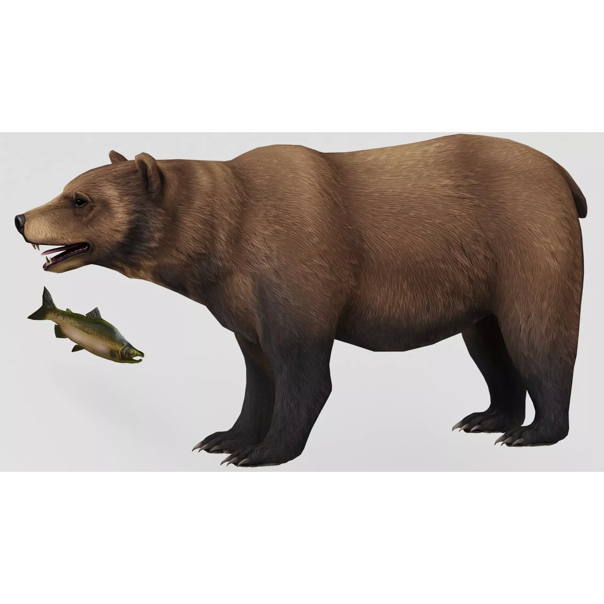 AnimalS Collection Free 3D model