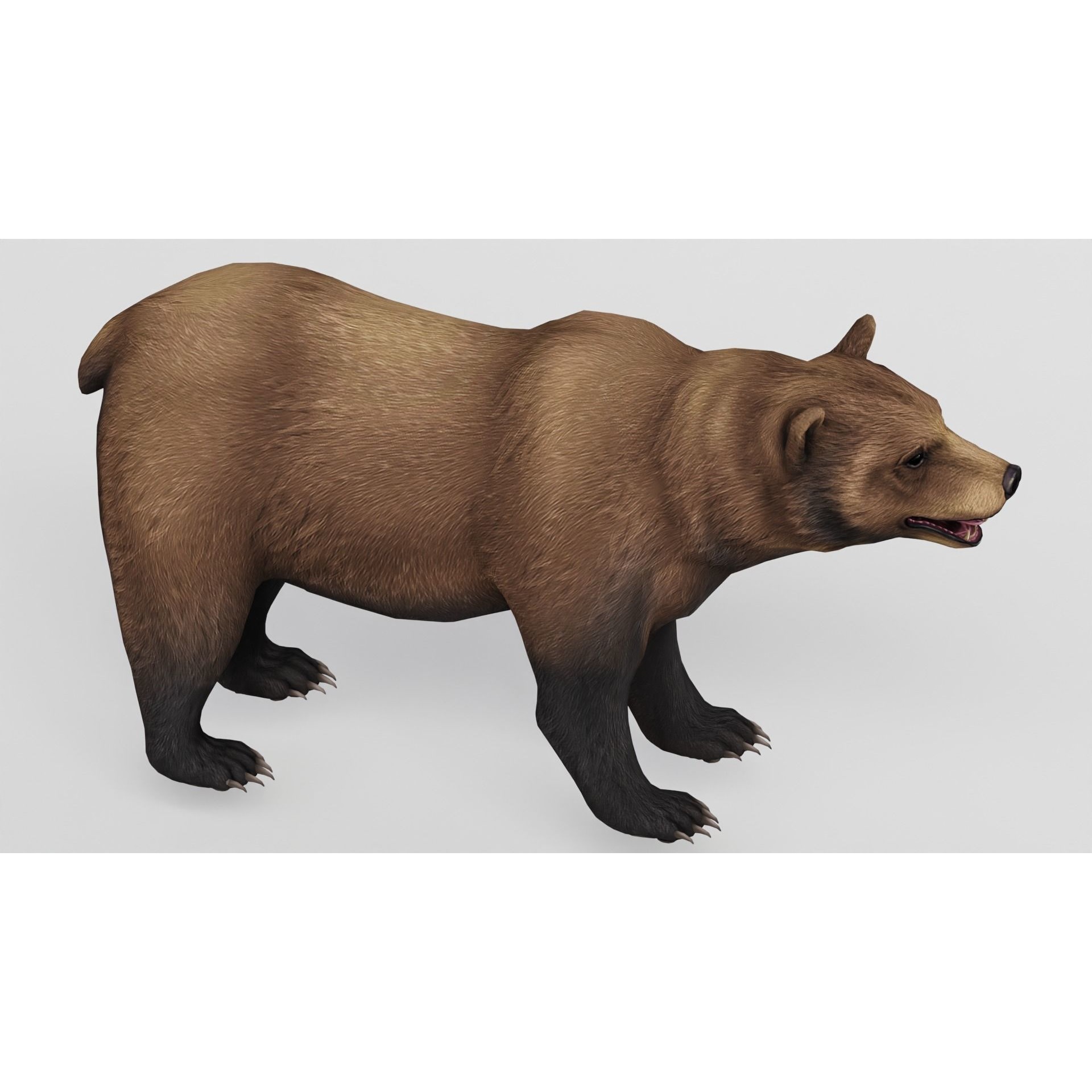 AnimalS Collection Free 3D model 2
