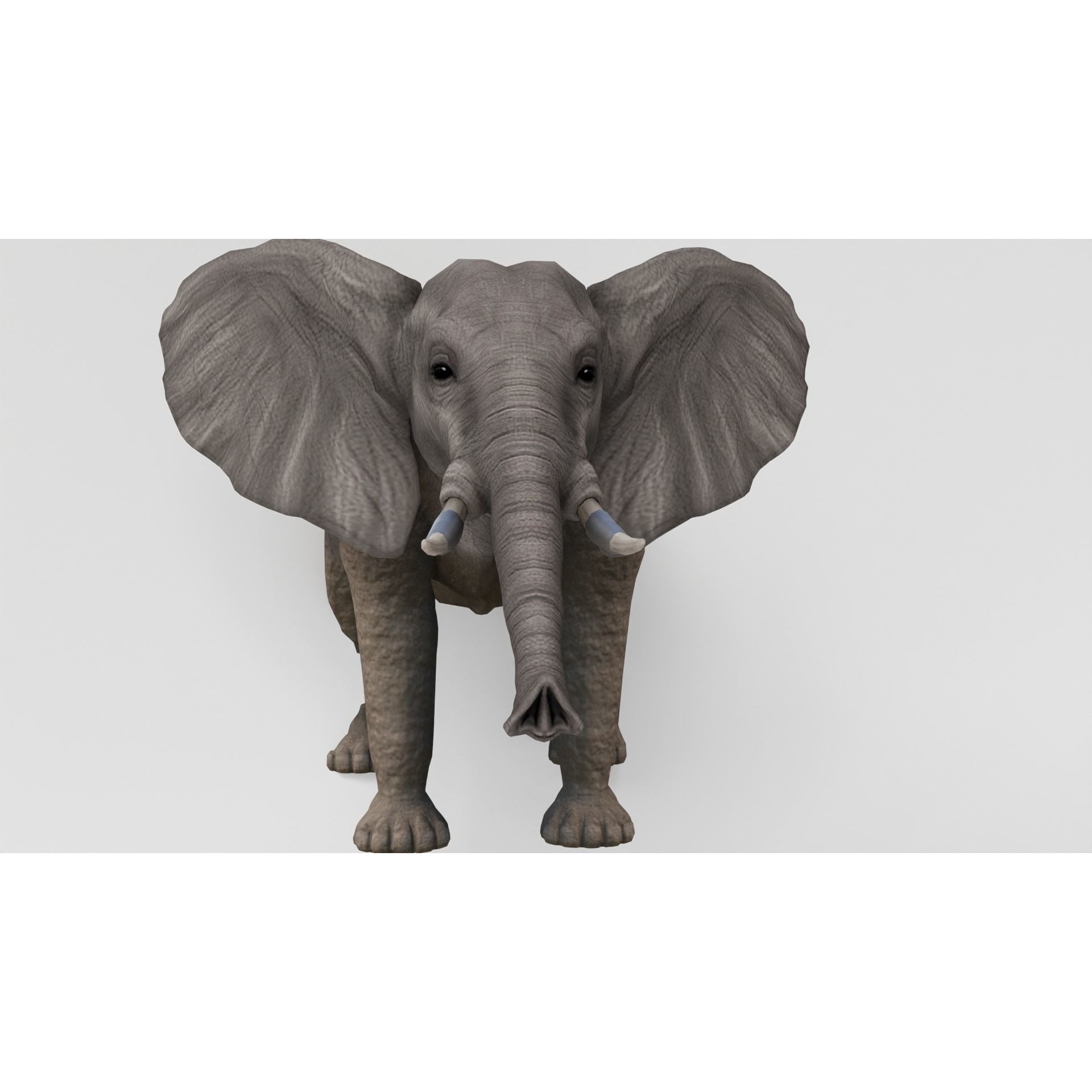 AnimalS Collection Free 3D model 3