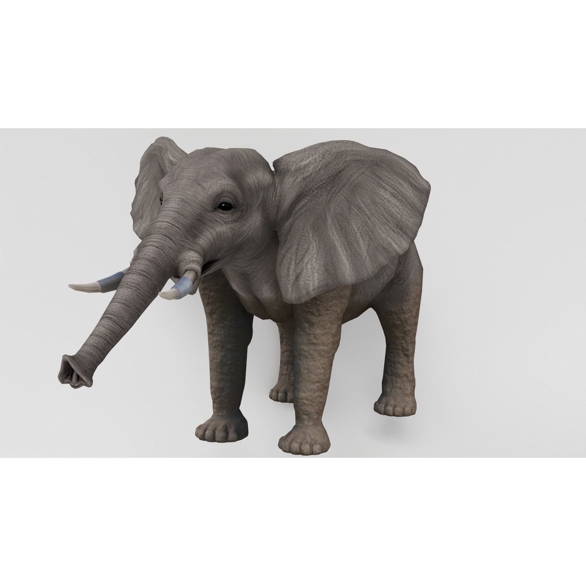 AnimalS Collection Free 3D model 4