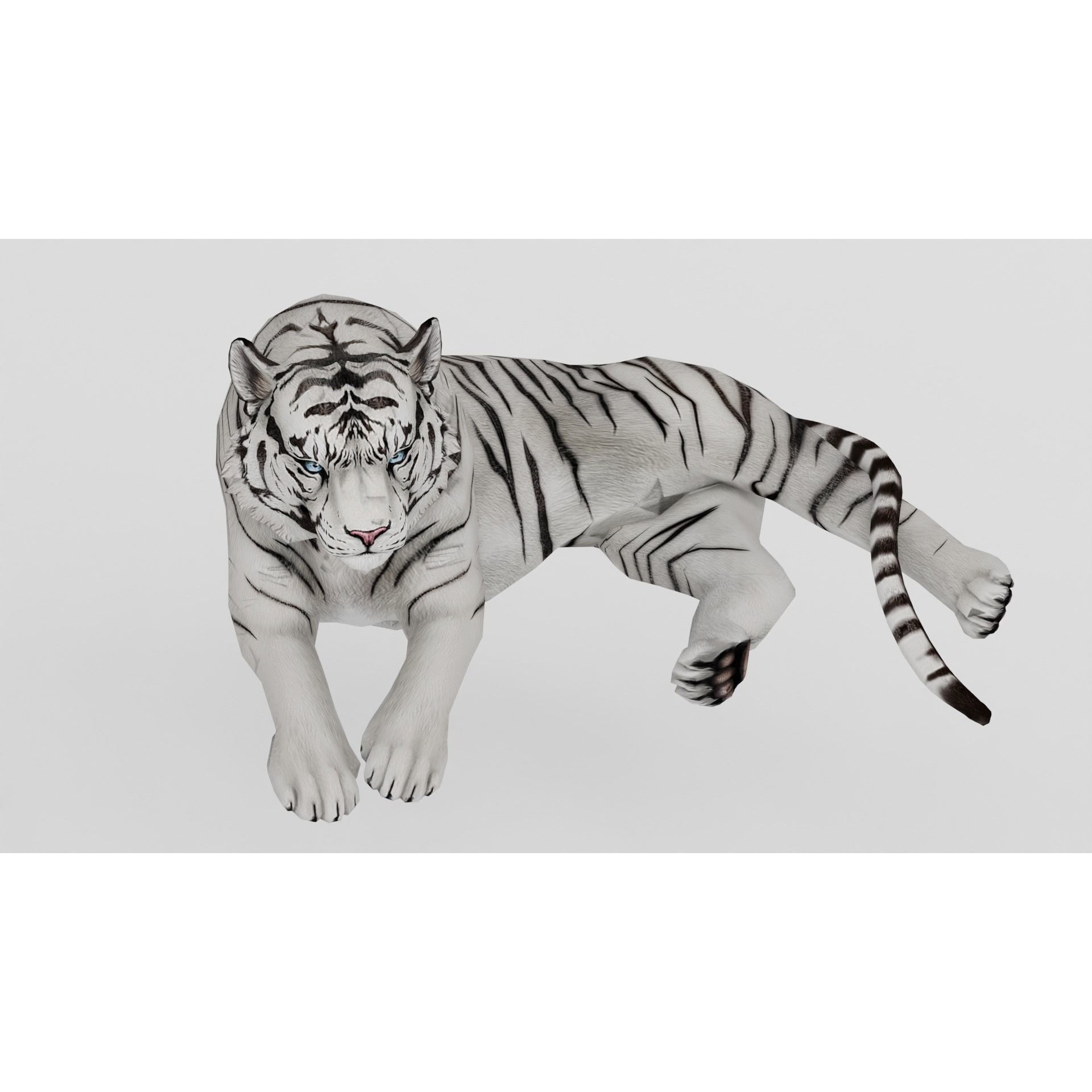 AnimalS Collection Free 3D model 5