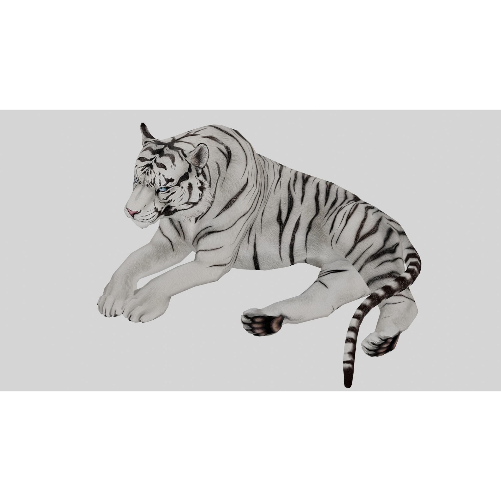 AnimalS Collection Free 3D model 6