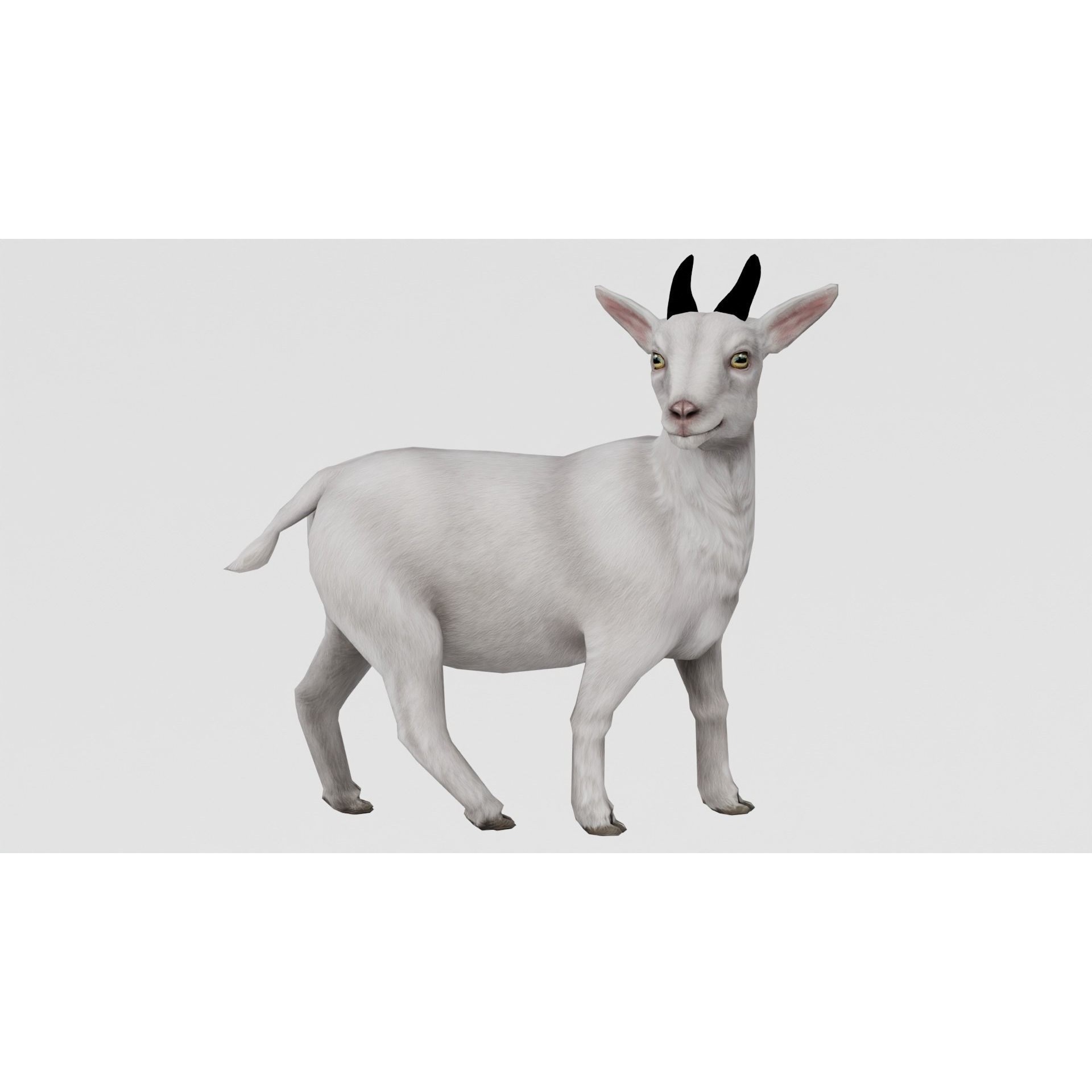 AnimalS Collection Free 3D model 7