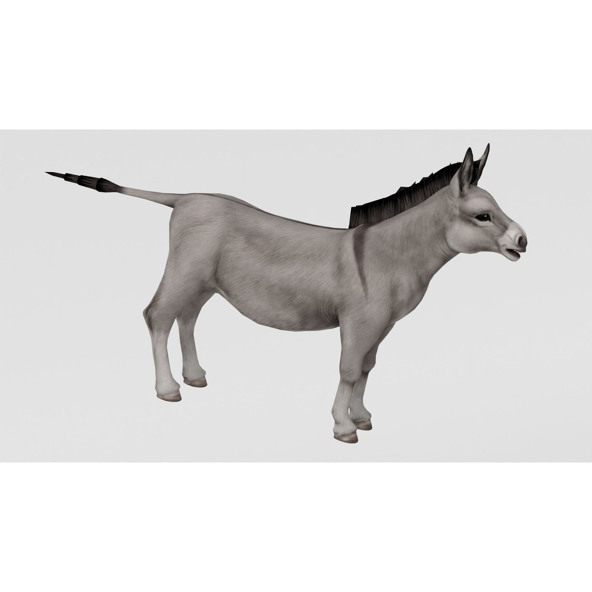 AnimalS Collection Free 3D model 9