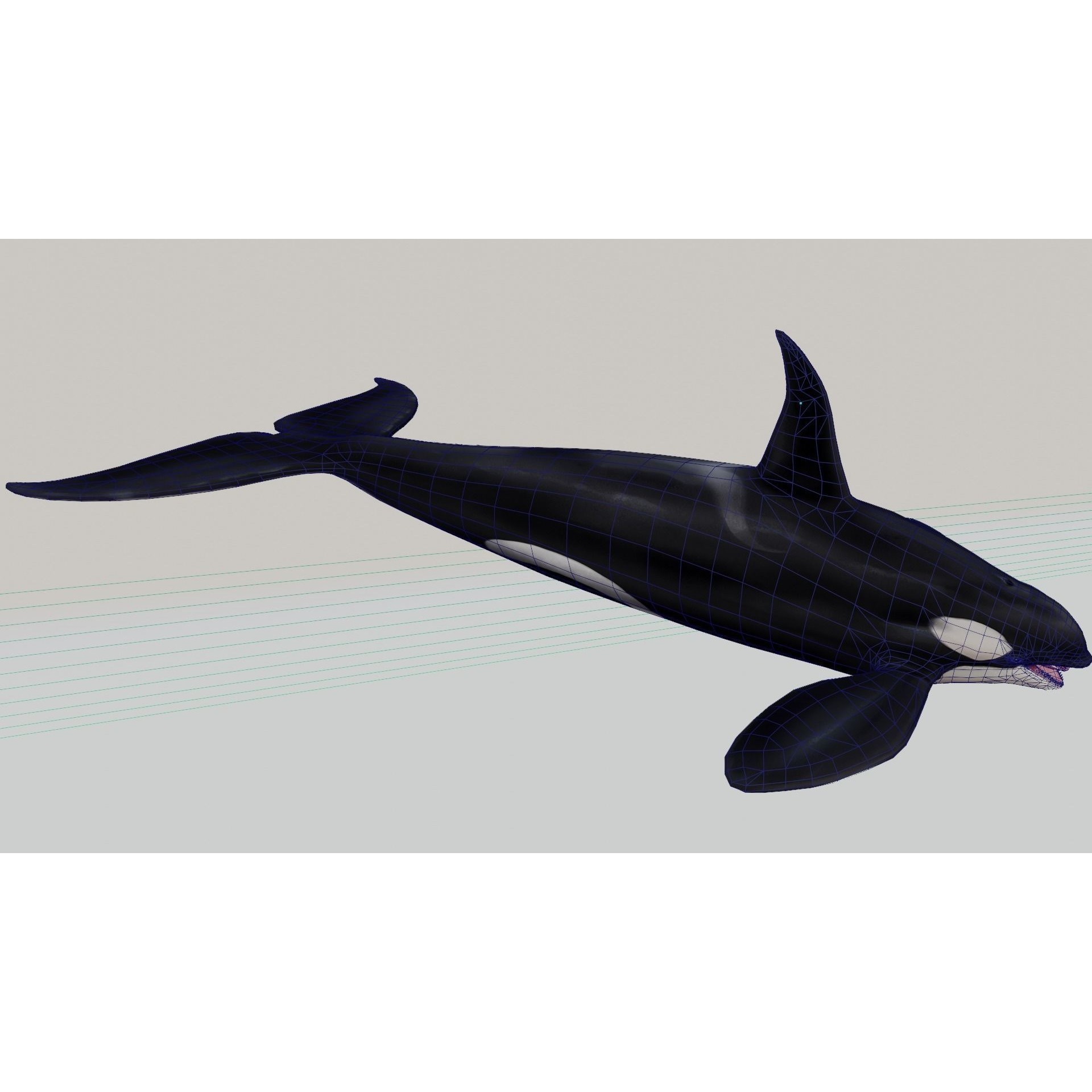 AnimalS Collection Free 3D model 10