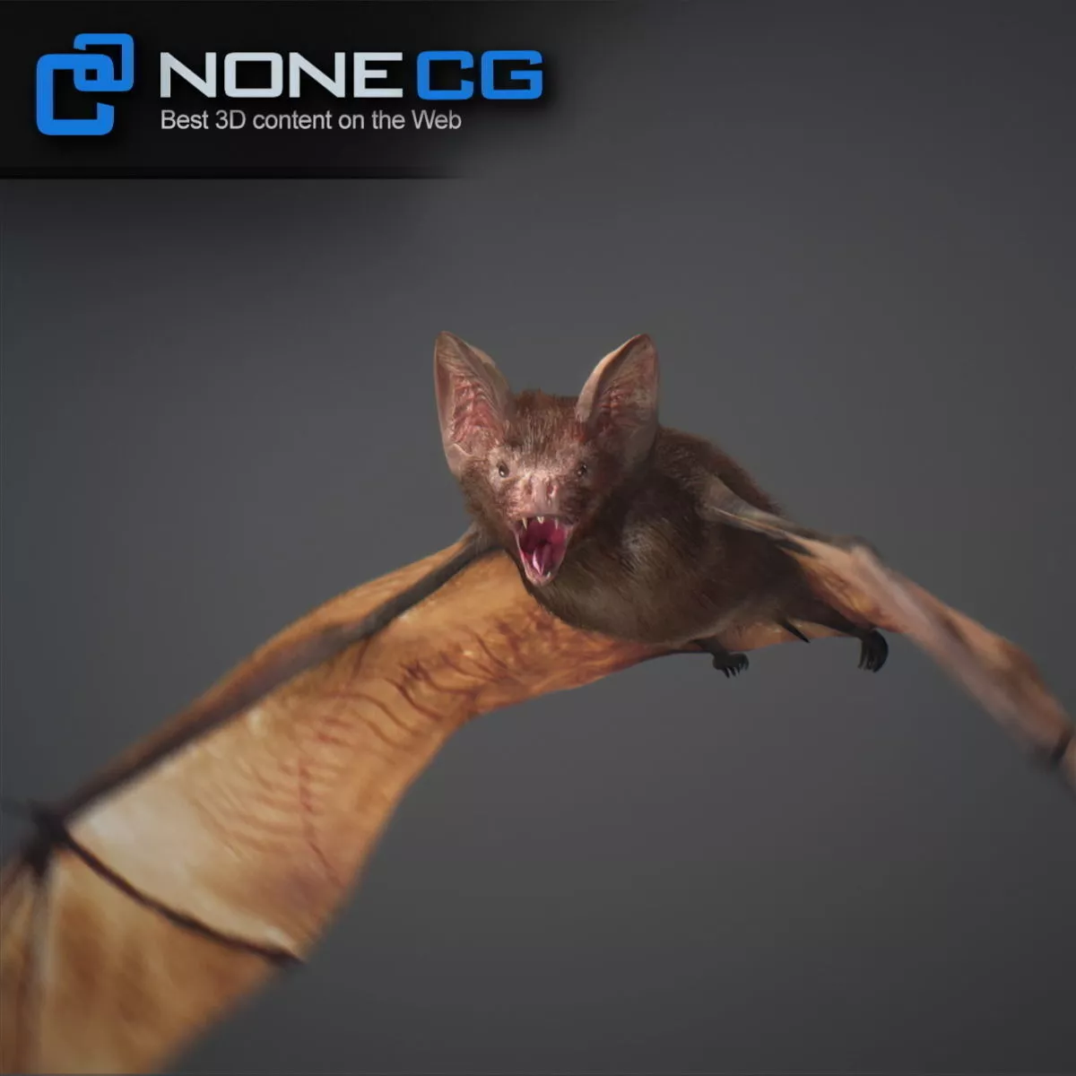 Animated Bat Free 3D model 3