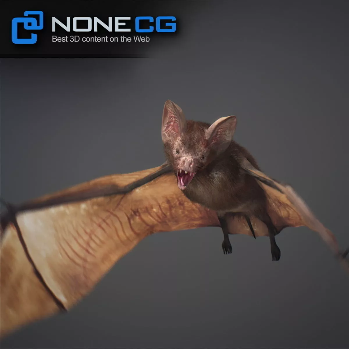 Animated Bat Free 3D model 6