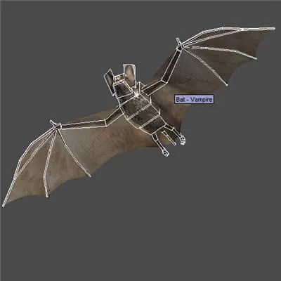 Animated Bat Free 3D model 10
