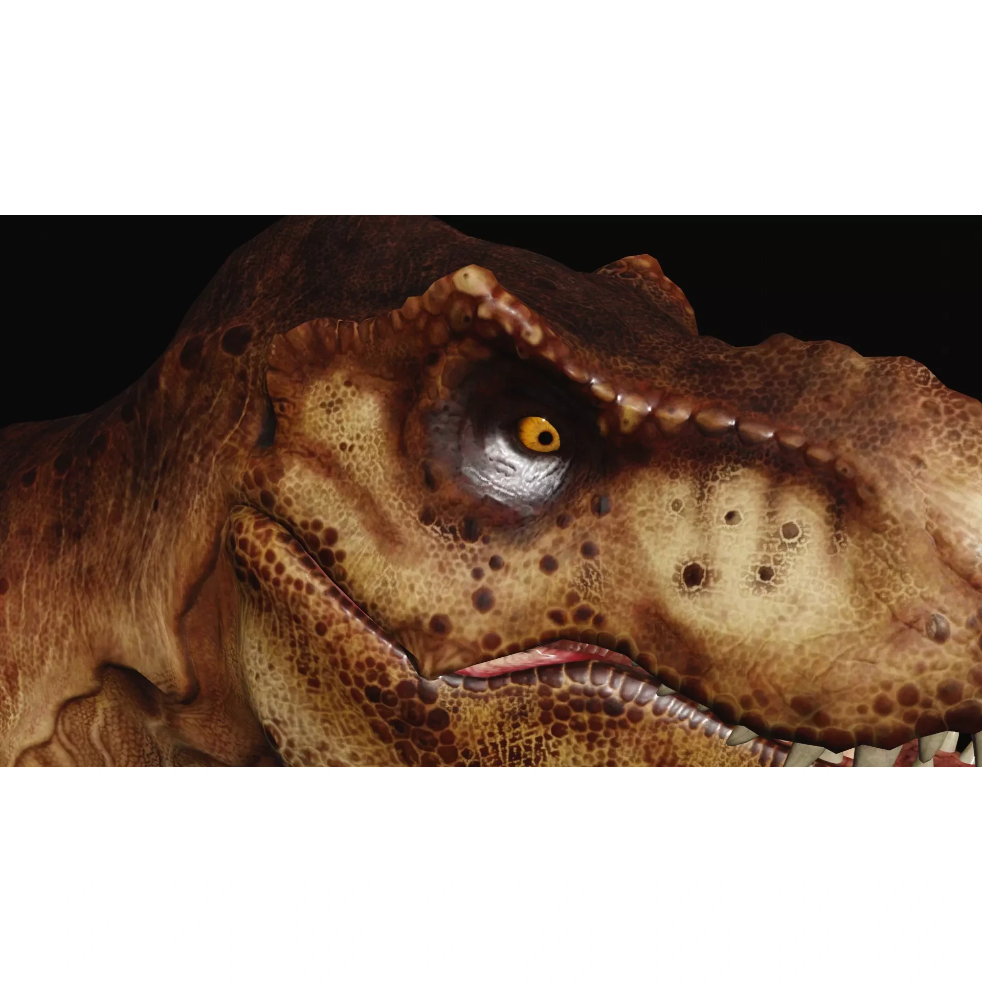 Animated dinasour head Free low-poly 3D model