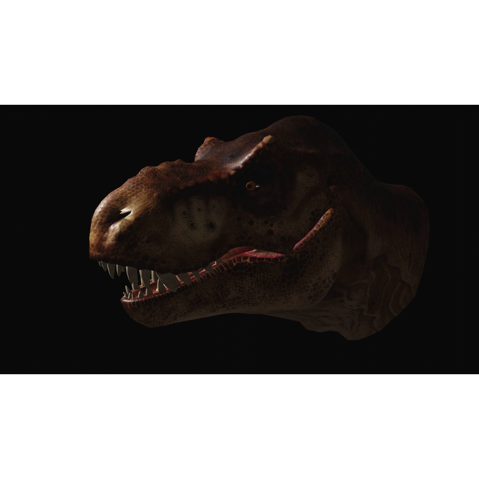 Animated dinasour head Free low-poly 3D model 4