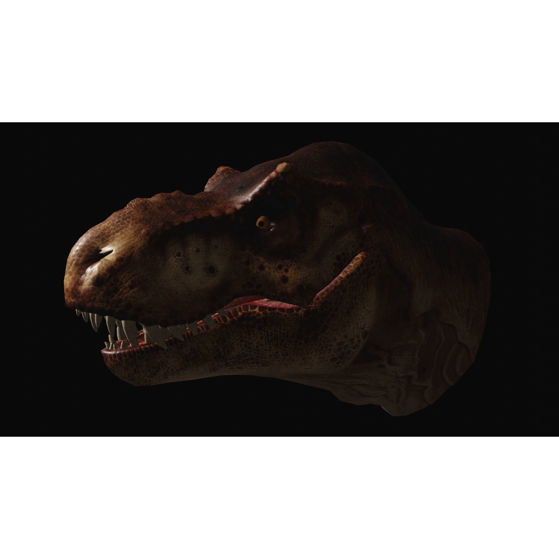 Animated dinasour head Free low-poly 3D model 5